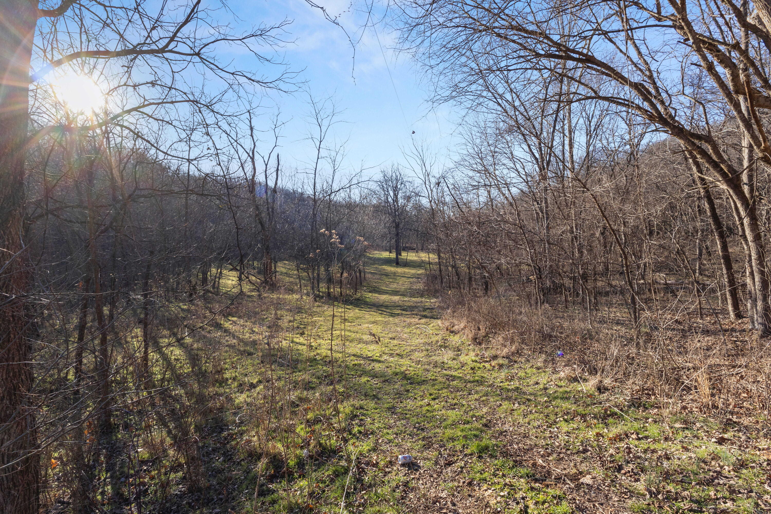 Photo 33 - Land for sale – Xoxo  Flag Springs Road   Washburn, MO