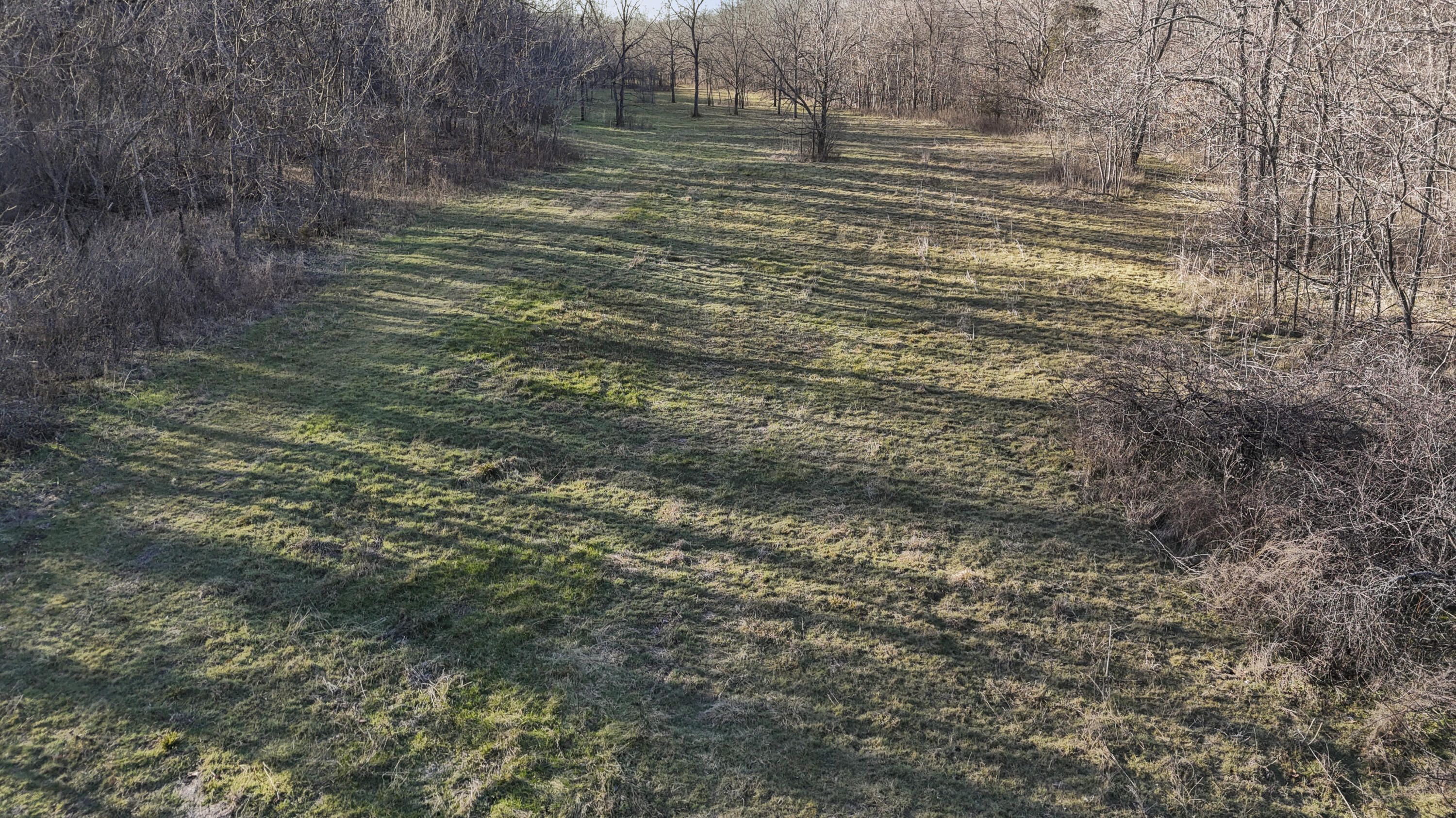 Photo 21 - Land for sale – Xoxo  Flag Springs Road   Washburn, MO