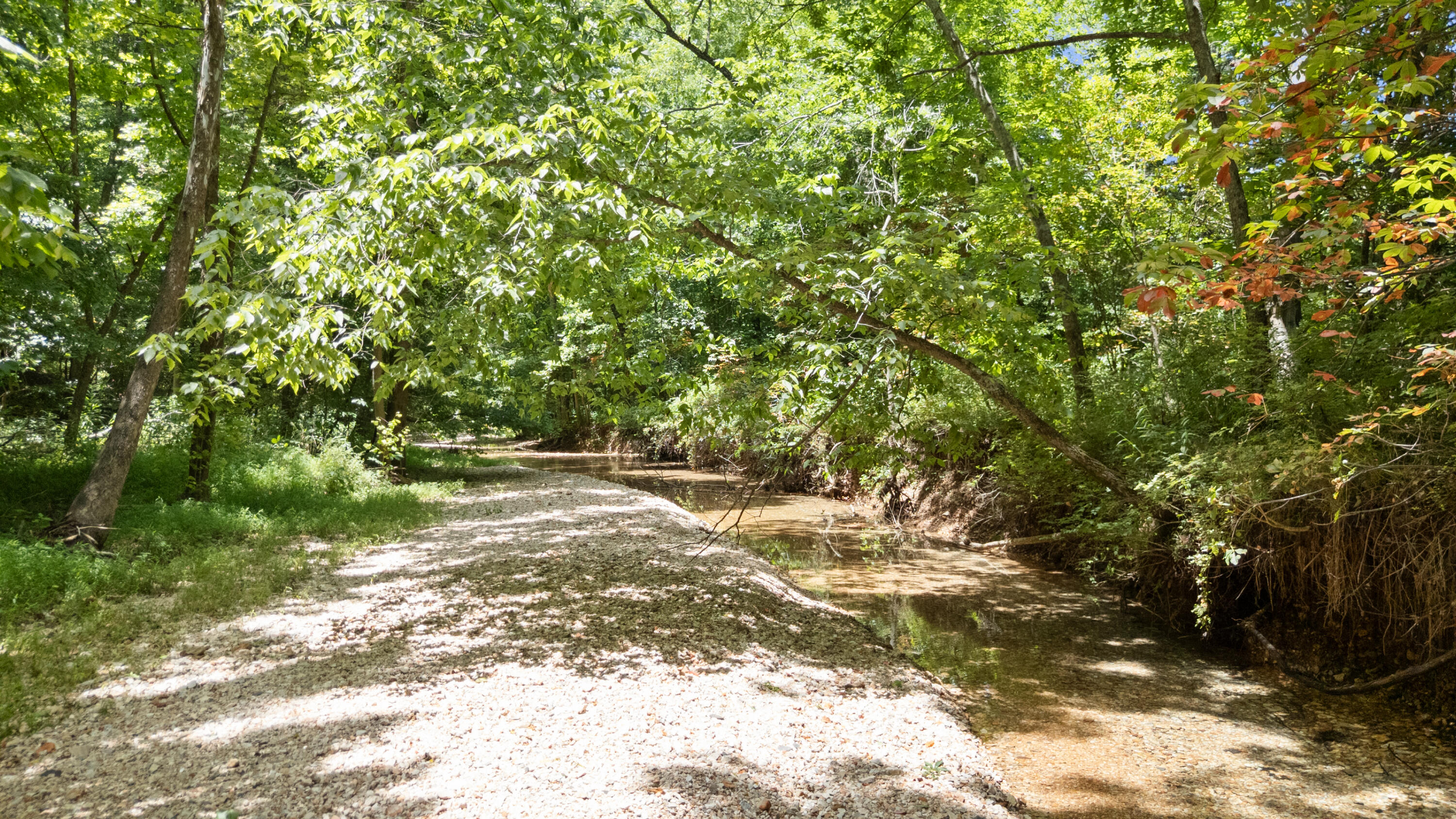 Photo 53 - Land for sale – Xoxo  Flag Springs Road   Washburn, MO
