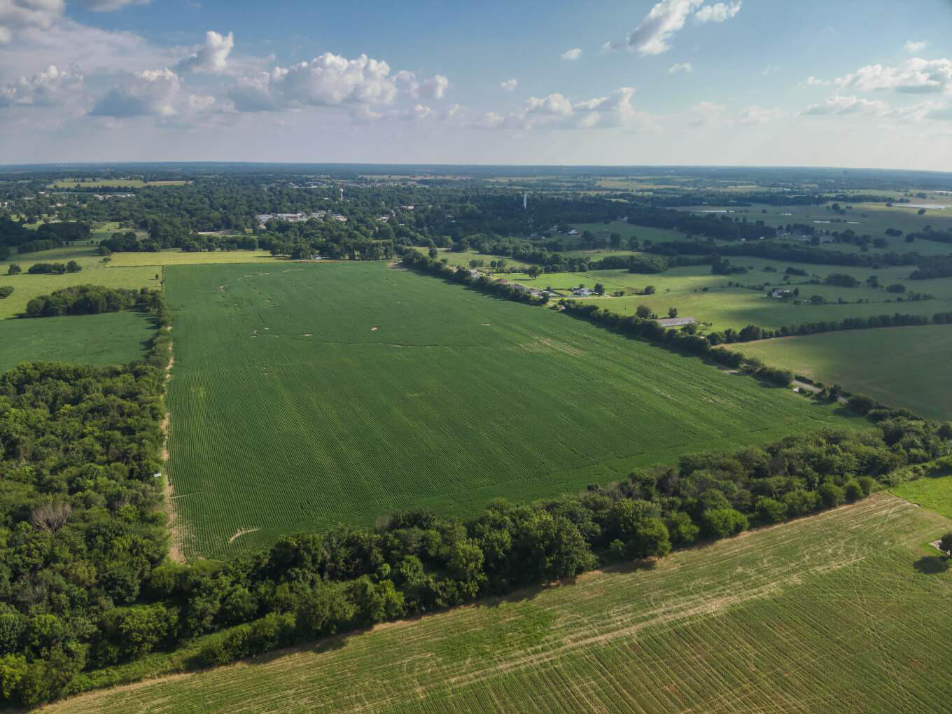 Photo 12 - Land for sale – 000  Lawrence 1232   Marionville, MO