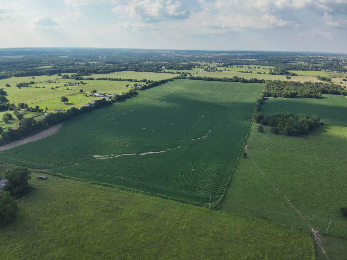 Photo 5 - Land for sale – 000  Lawrence 1232   Marionville, MO