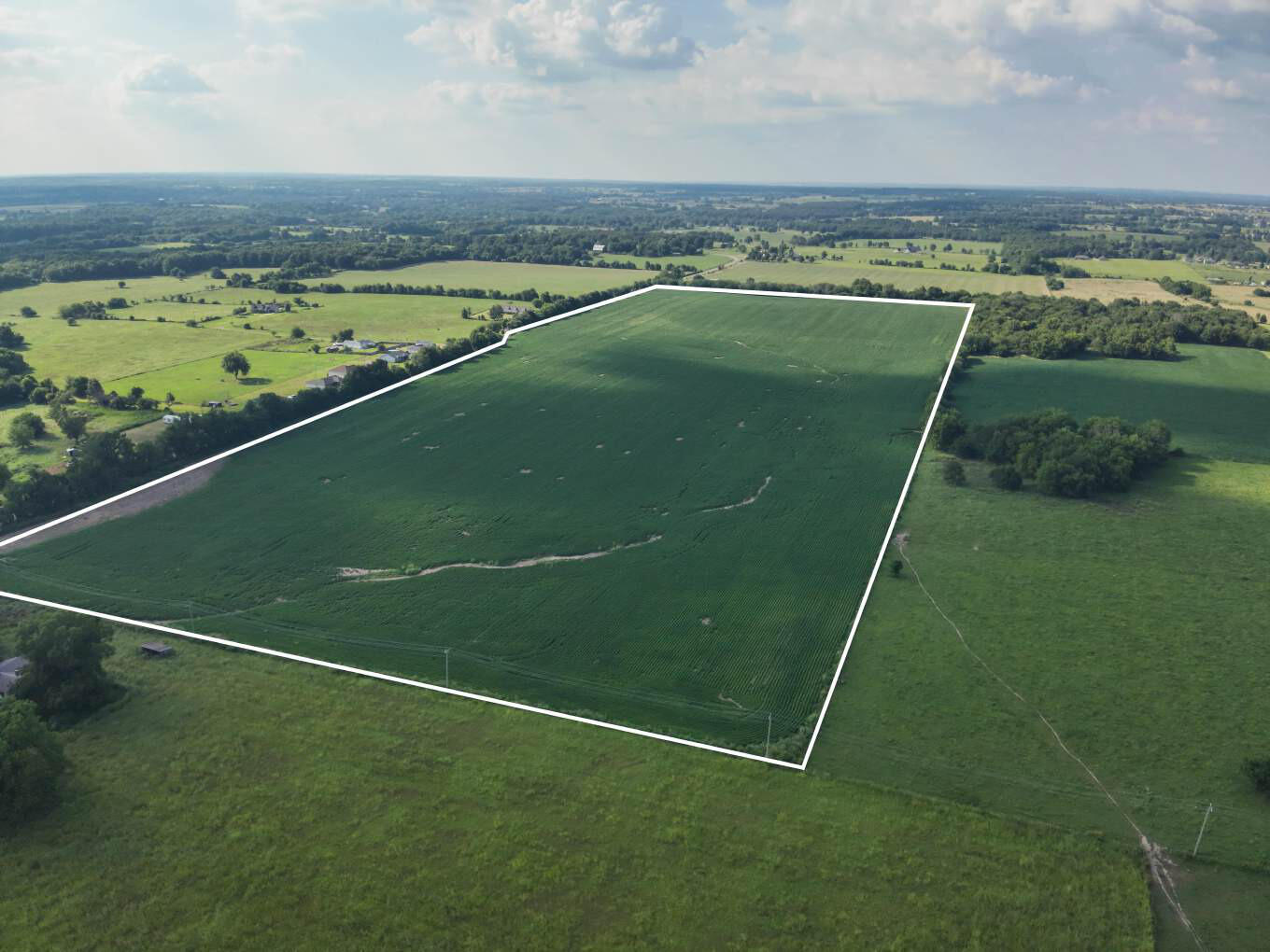 Photo 6 - Land for sale – 000  Lawrence 1232   Marionville, MO