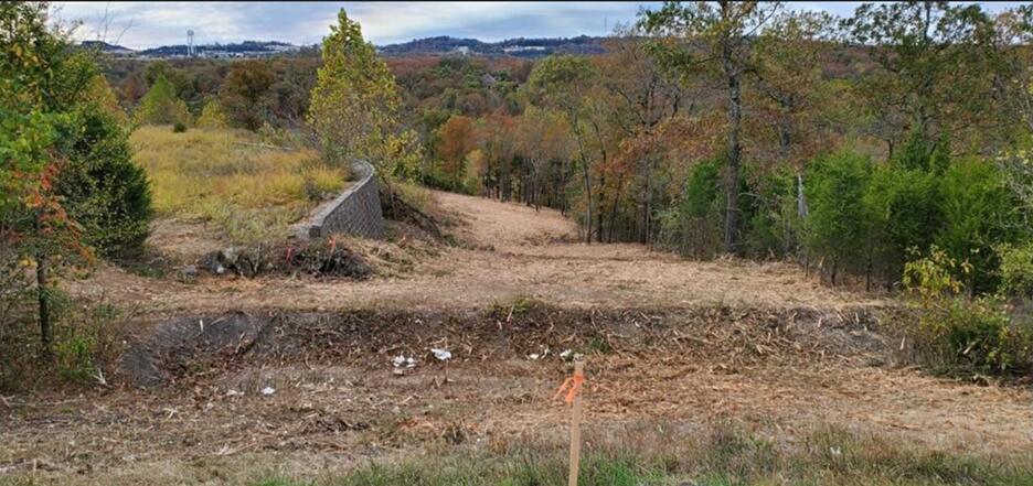 Photo 5 - Land for sale – 648  Sunrise Drive  Branson, MO