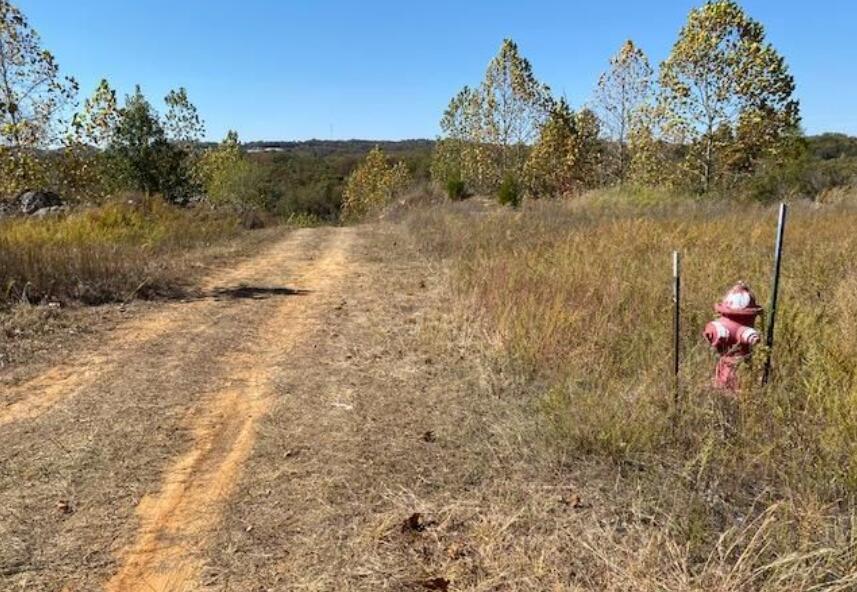 Photo 9 - Land for sale – 648  Sunrise Drive  Branson, MO