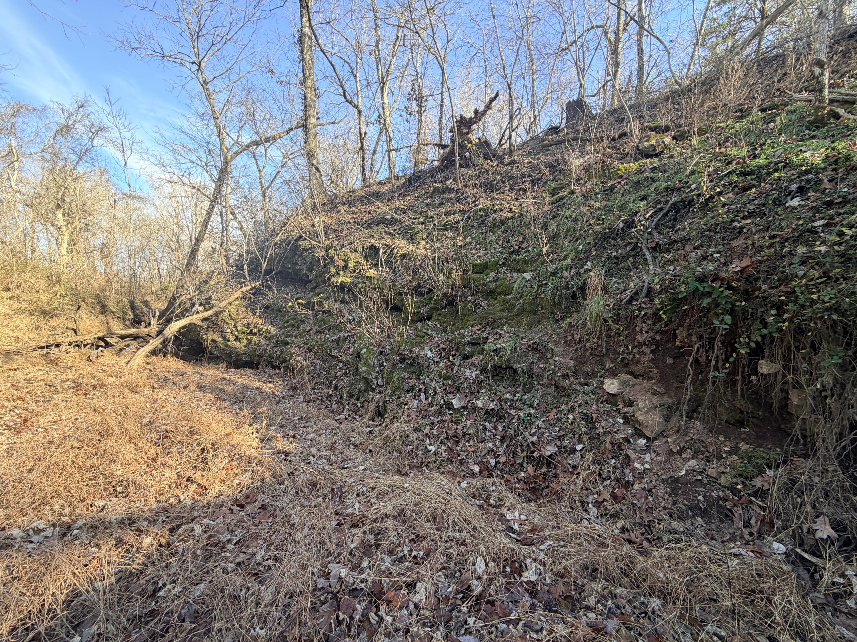 Photo 12 - Land for sale – 36ac  Hagee Road  Anderson, MO