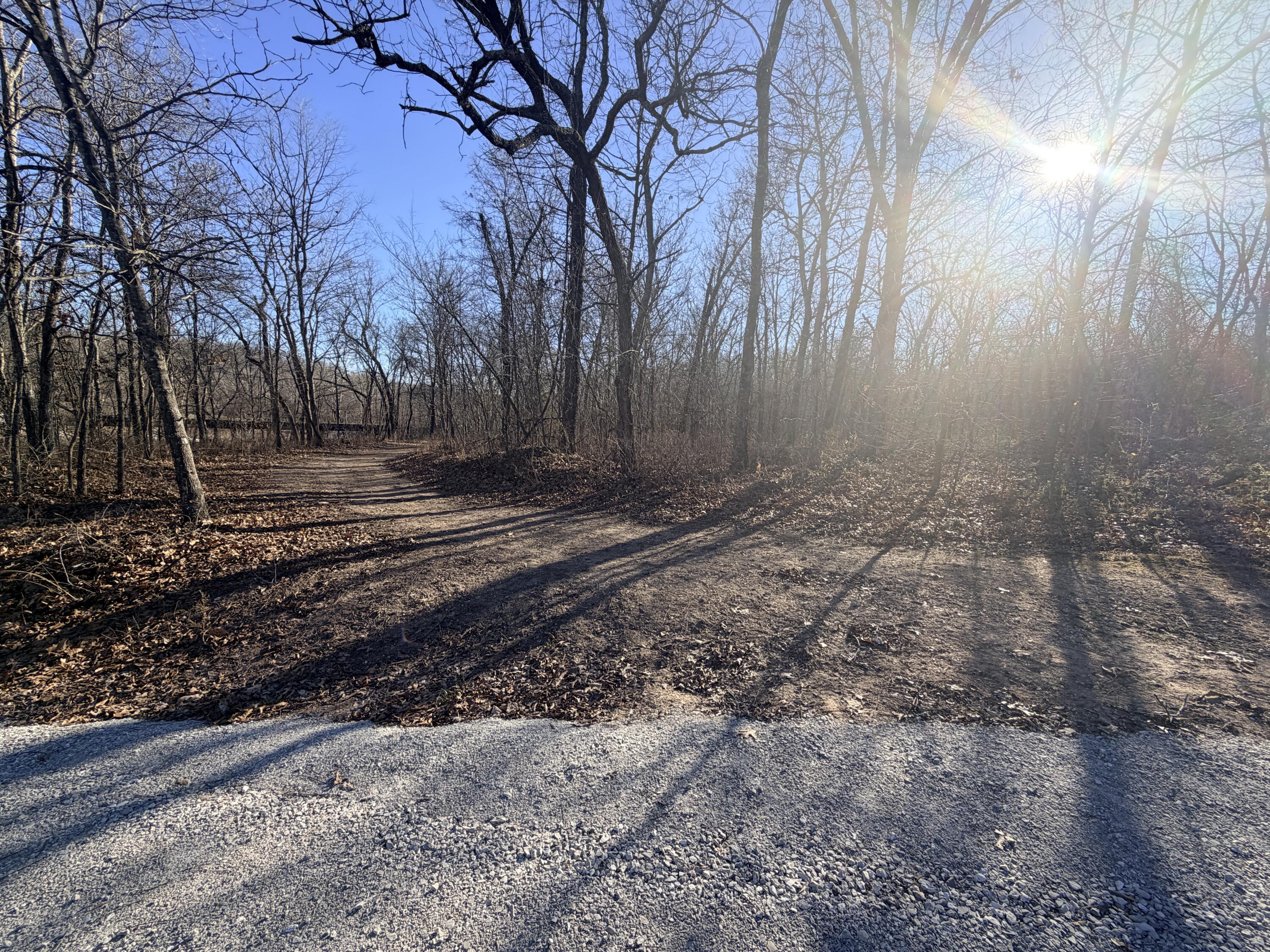 Photo 7 - Land for sale – 36ac  Hagee Road  Anderson, MO