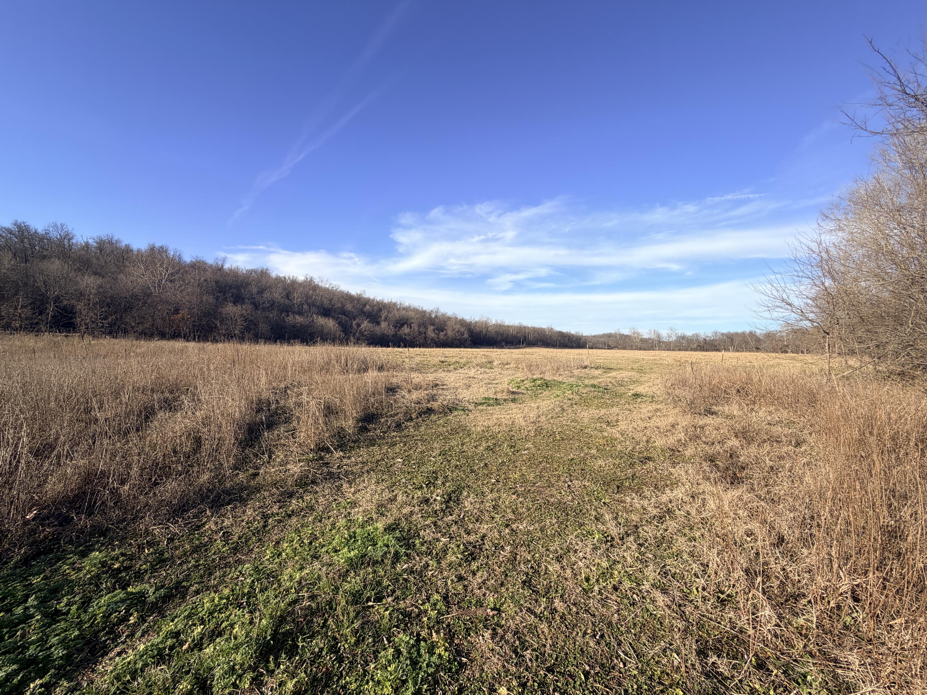 Photo 5 - Land for sale – 40ac  Business 71   Anderson, MO