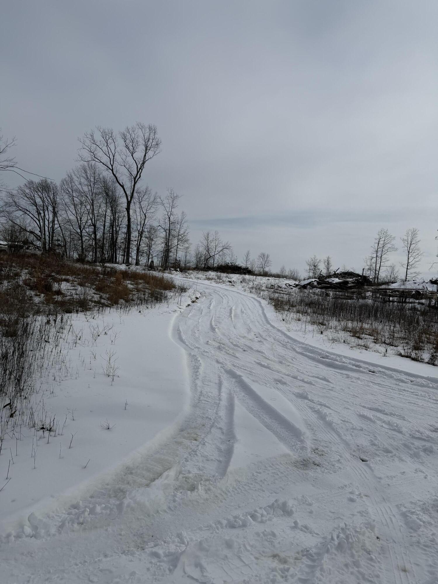 Photo 3 - Land for sale – 0000  County Road 3500   Mountain View, MO