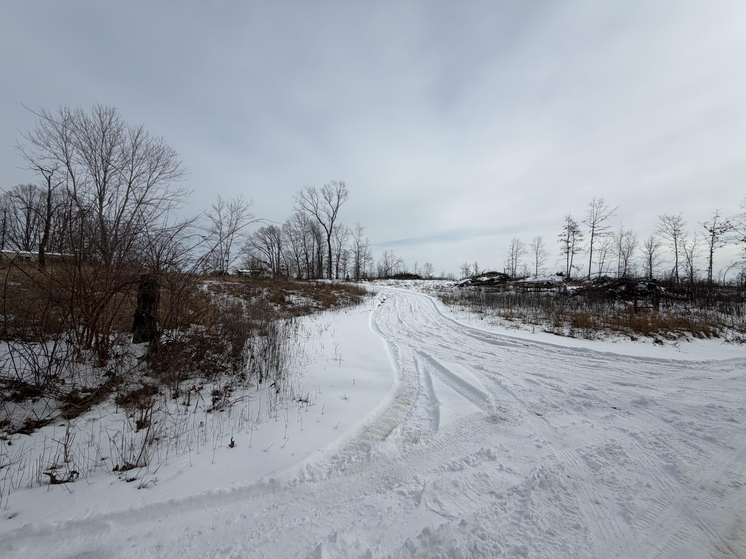 Photo 5 - Land for sale – 0000  County Road 3500   Mountain View, MO