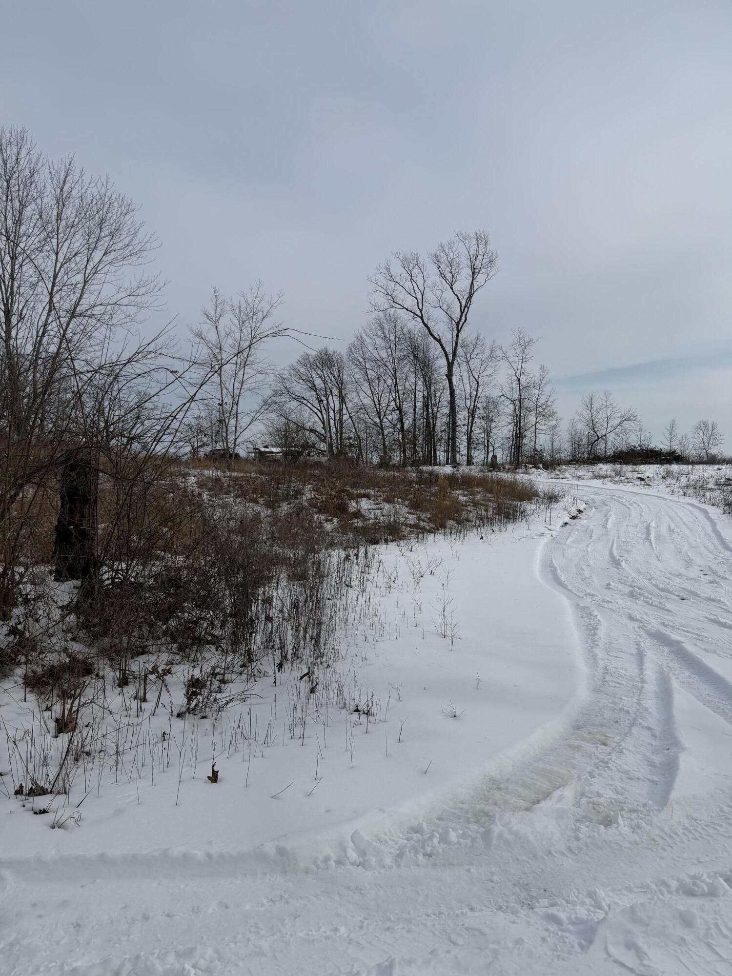Photo 2 - Land for sale – 0000  County Road 3500   Mountain View, MO