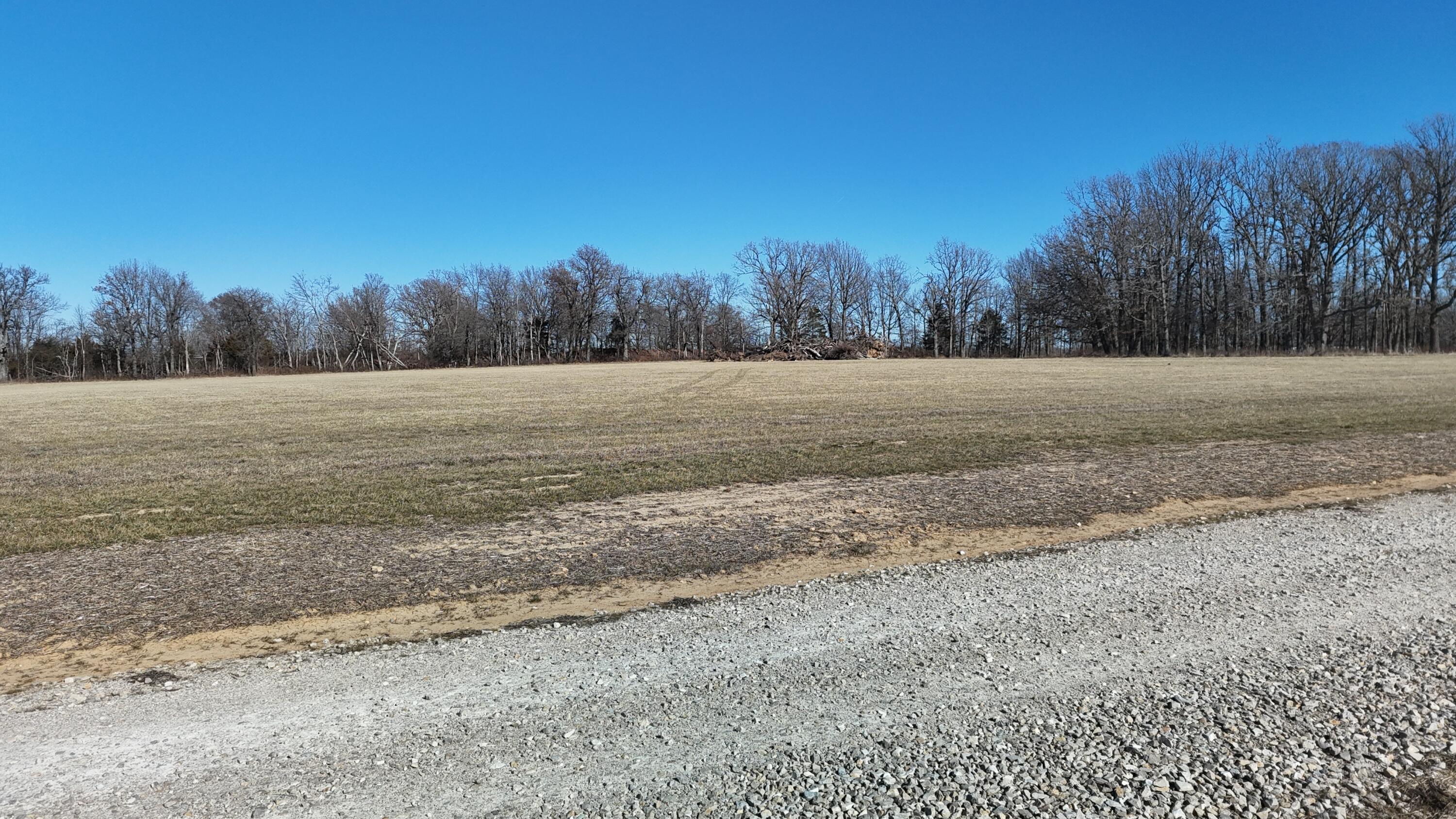 Photo 6 - Land for sale – Tract 1  Tbd Oak Lawn Road   Seymour, MO