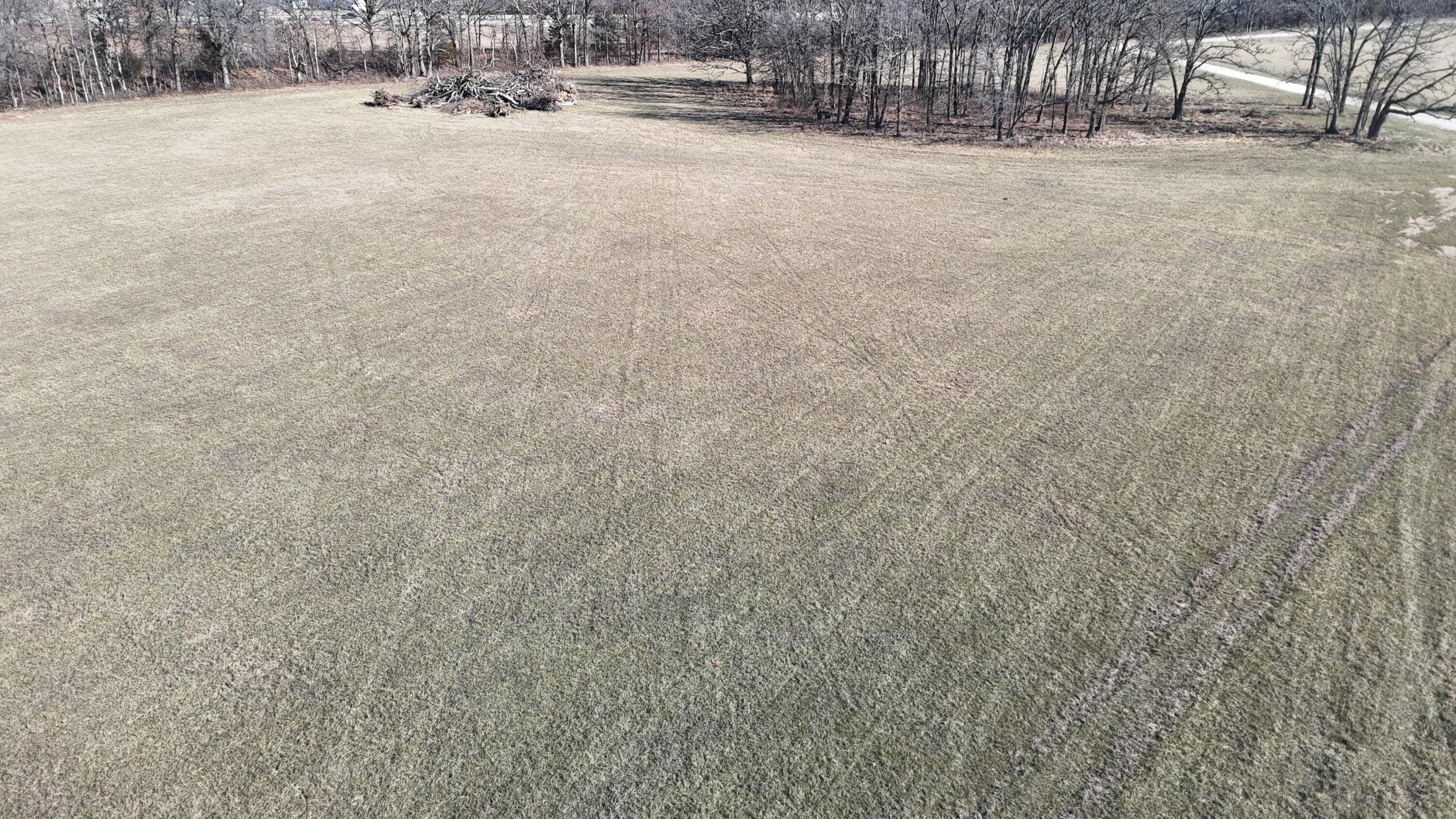 Photo 4 - Land for sale – Tract 1  Tbd Oak Lawn Road   Seymour, MO