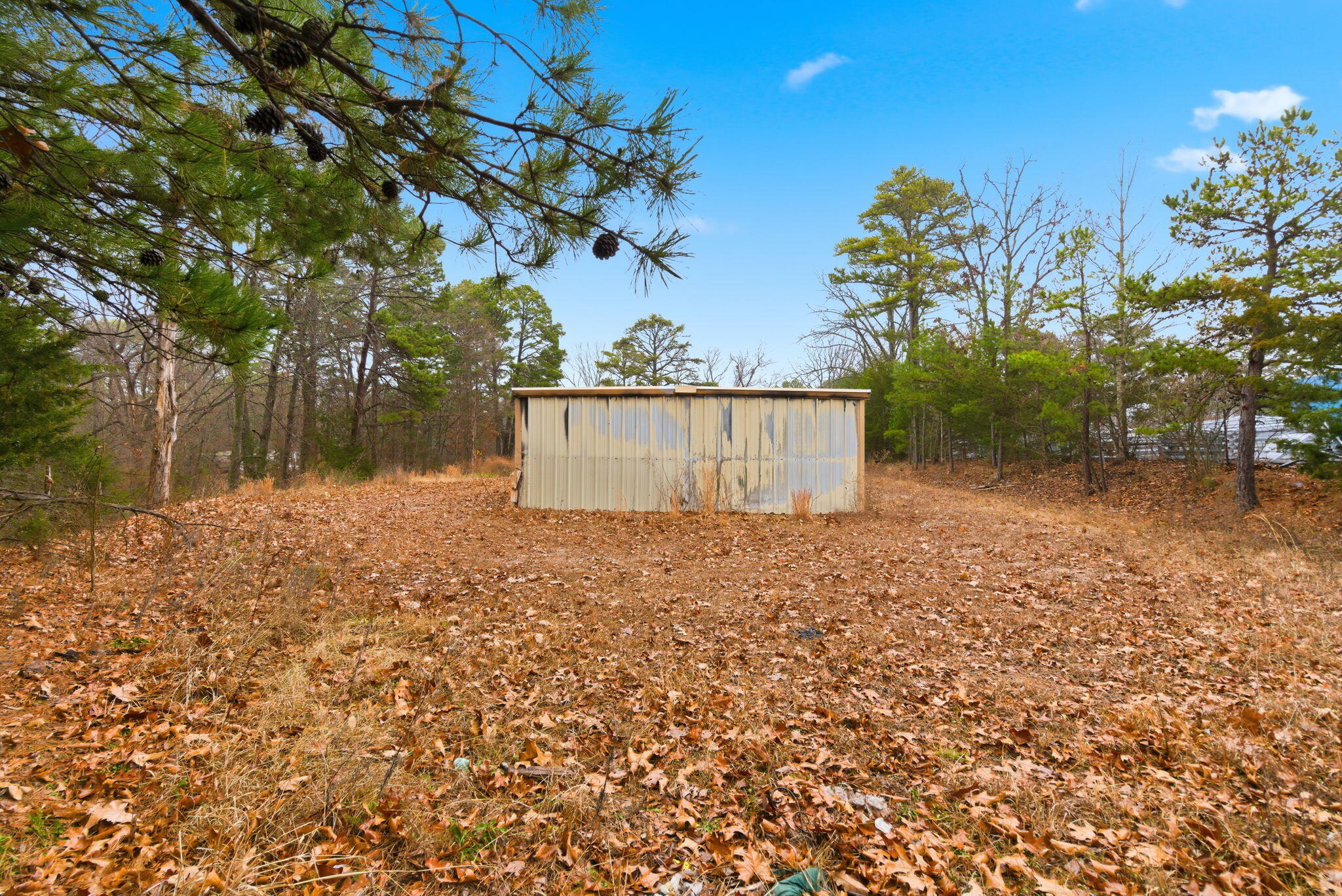 Photo 5 - Commercial Sale for sale – 3293  State Highway 13   Lampe, MO