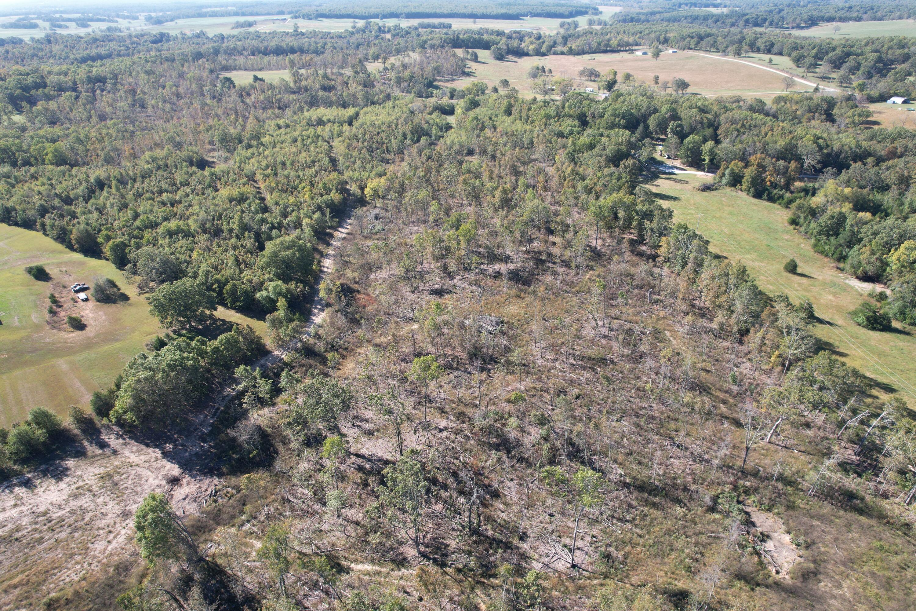 Photo 4 - Land for sale – Tbd E Hwy 160   West Plains, MO