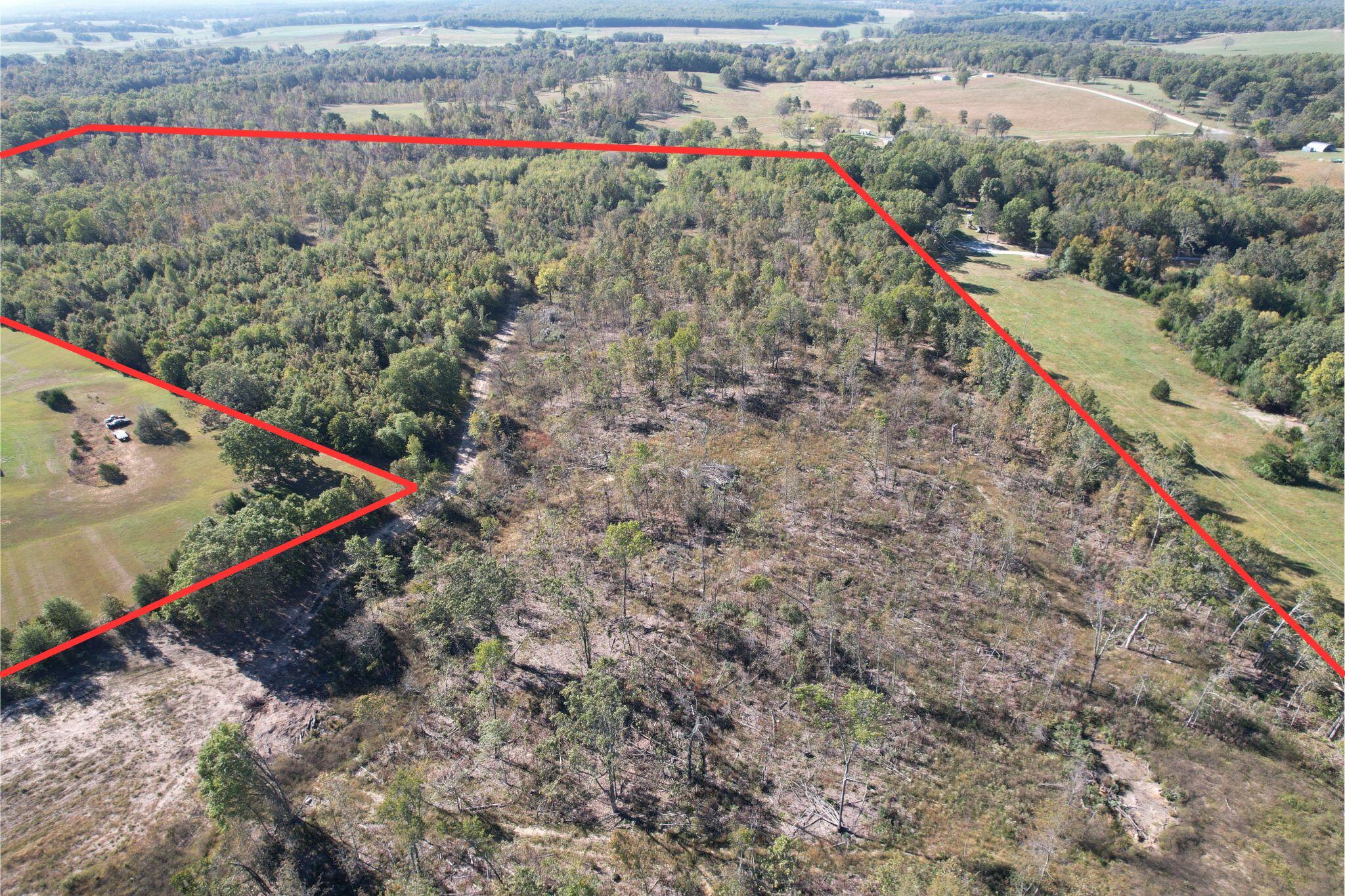 Photo 6 - Land for sale – Tbd E Hwy 160   West Plains, MO