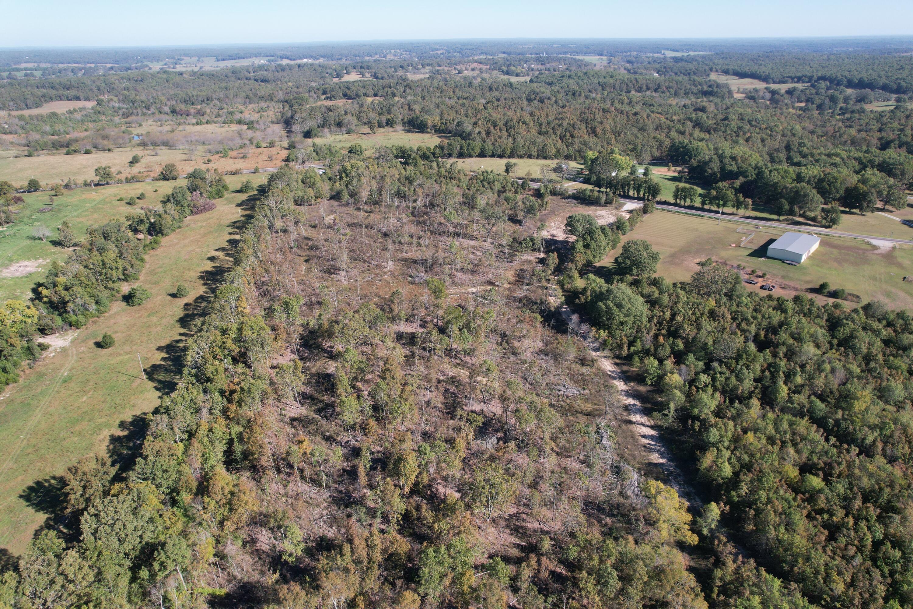 Photo 2 - Land for sale – Tbd E Hwy 160   West Plains, MO