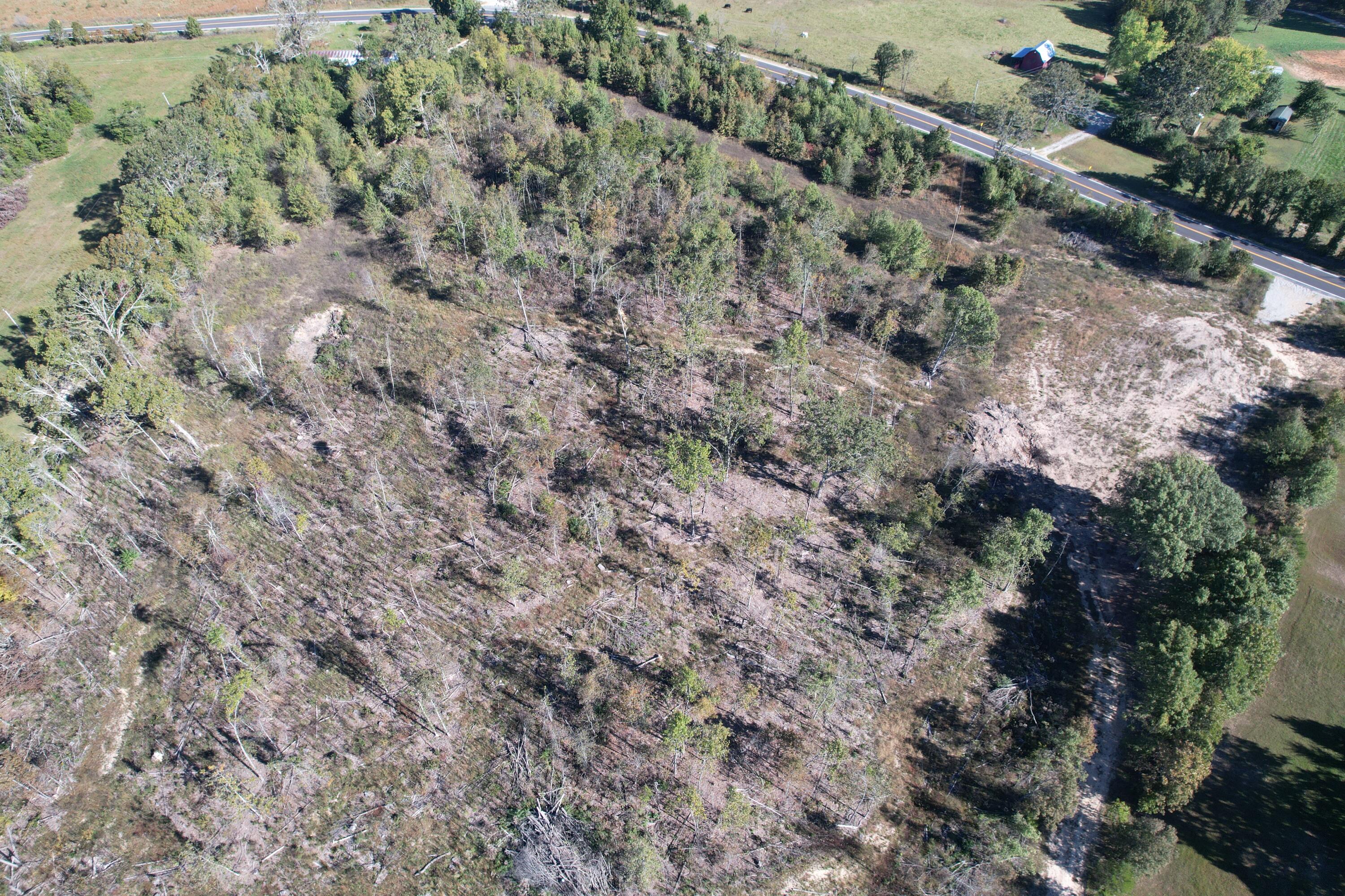 Photo 3 - Land for sale – Tbd E Hwy 160   West Plains, MO