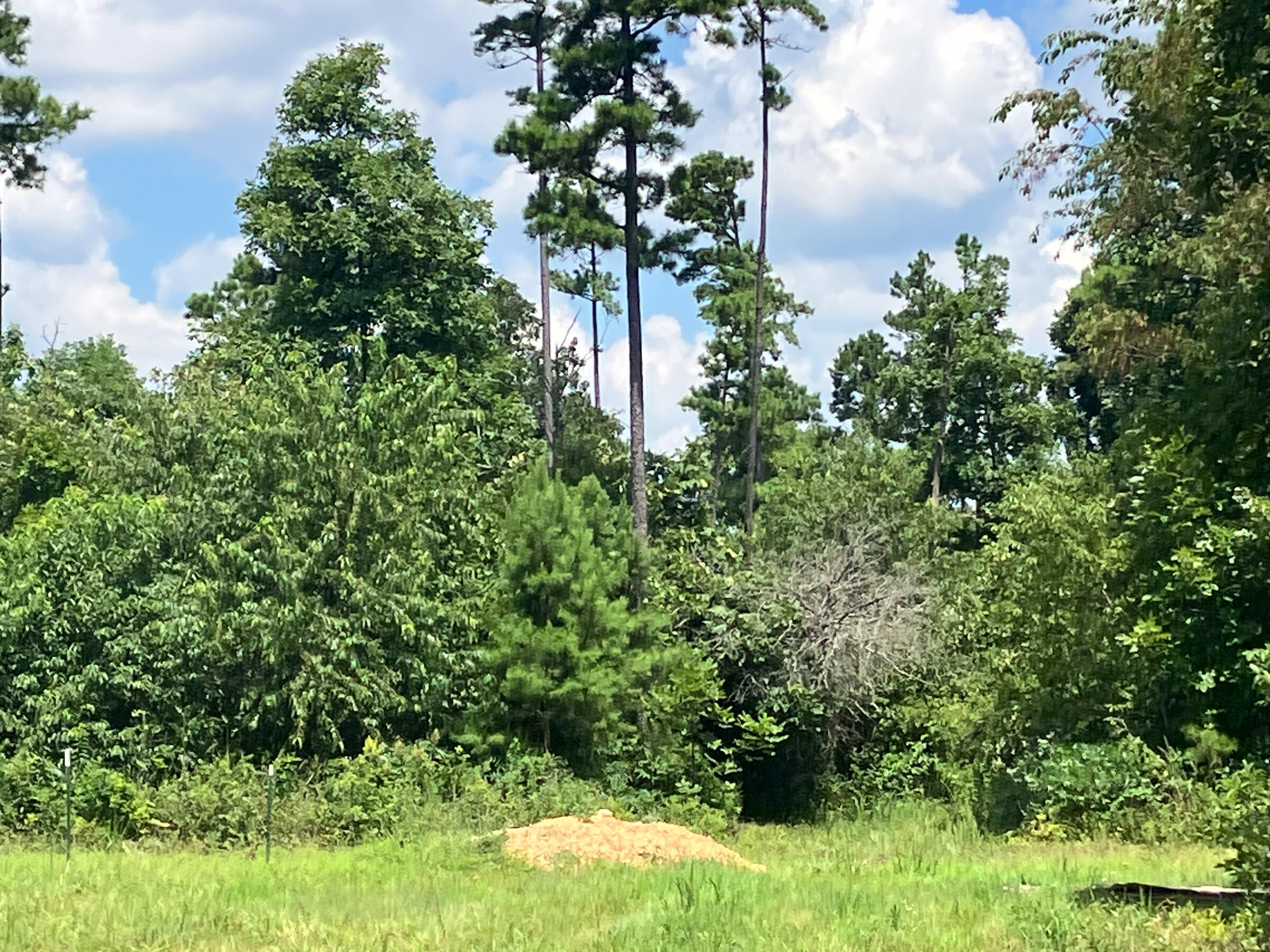 Photo 6 - Land for sale – 7187  Highway Kk   Hartshorn, MO