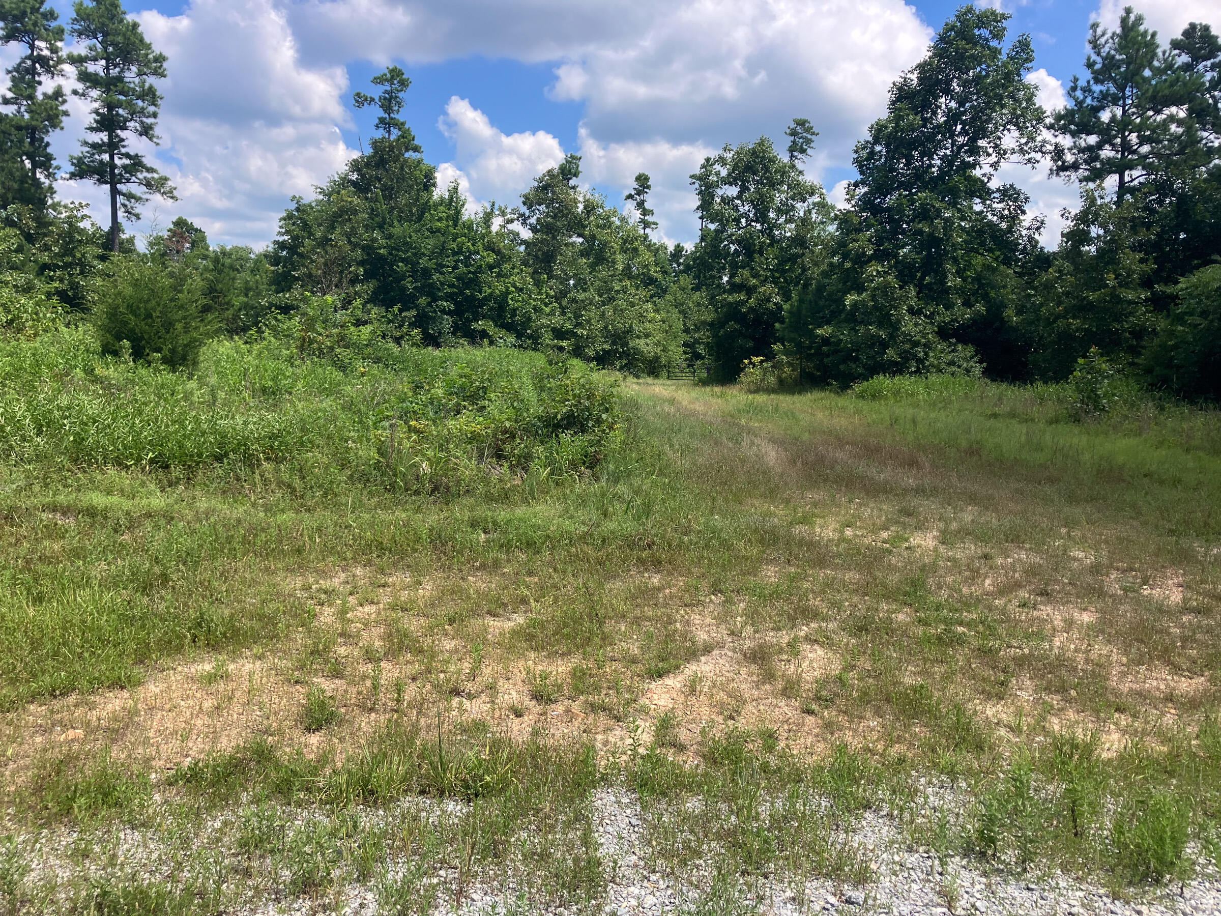 Photo 7 - Land for sale – 7187  Highway Kk   Hartshorn, MO