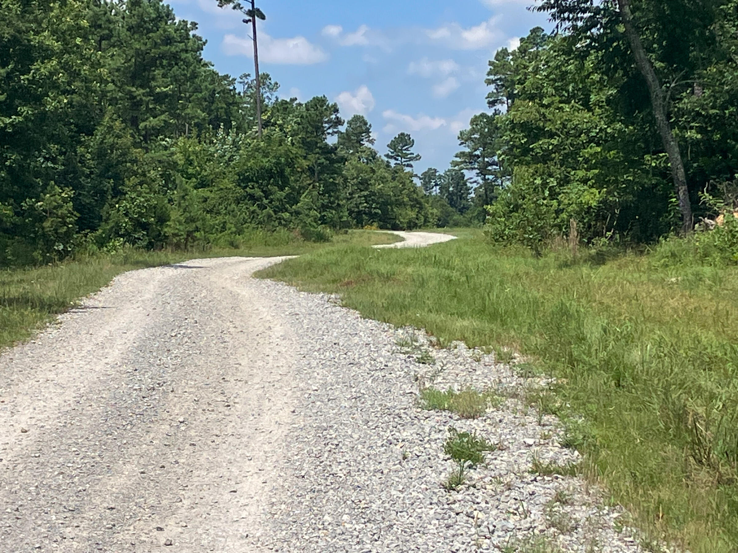 Photo 11 - Land for sale – 7187  Highway Kk   Hartshorn, MO