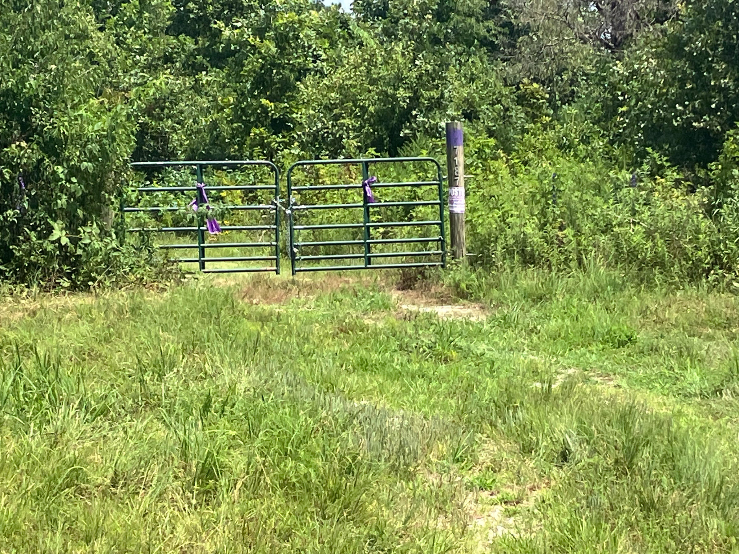 Photo 8 - Land for sale – 7187  Highway Kk   Hartshorn, MO