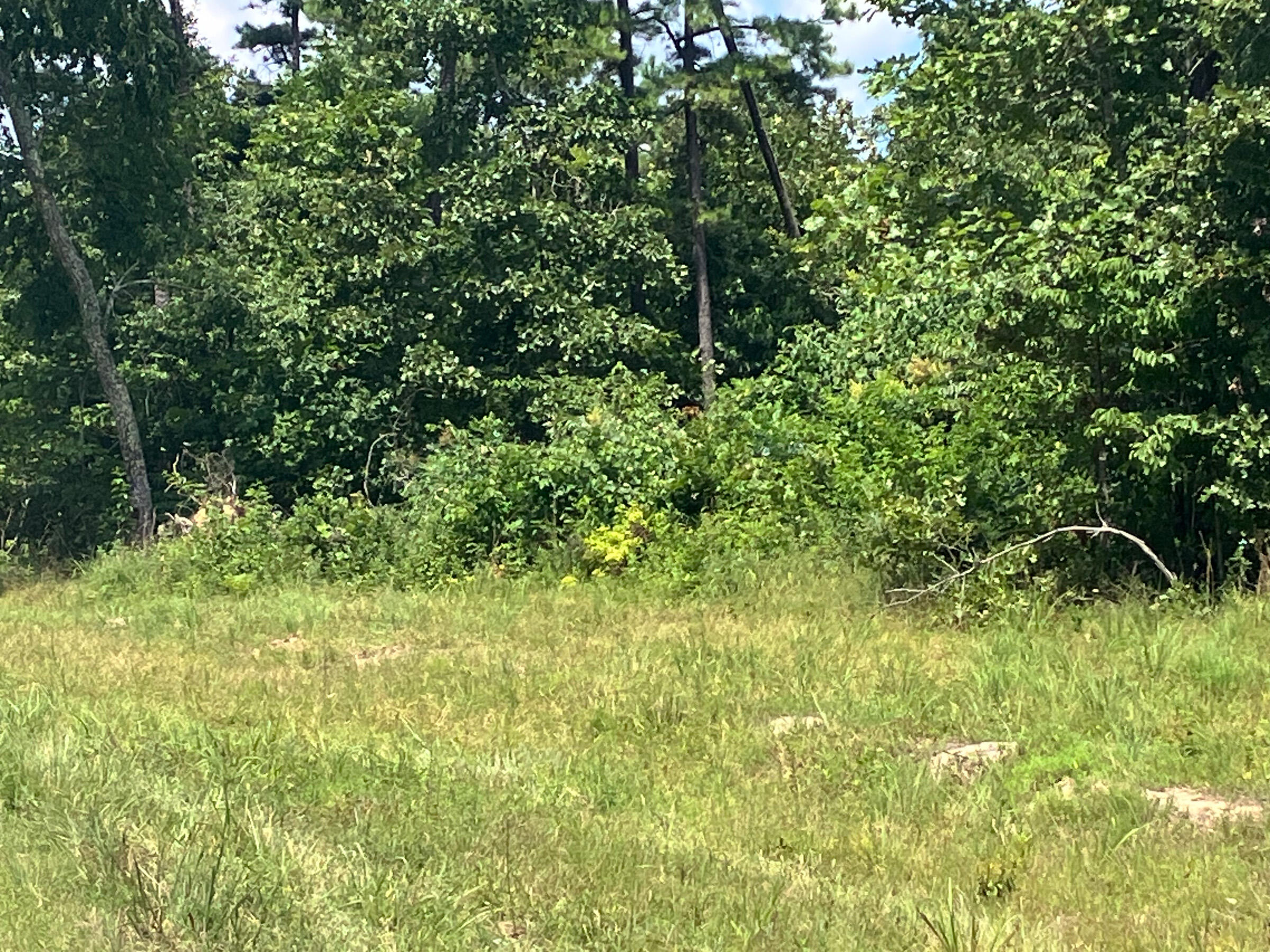 Photo 5 - Land for sale – 7187  Highway Kk   Hartshorn, MO