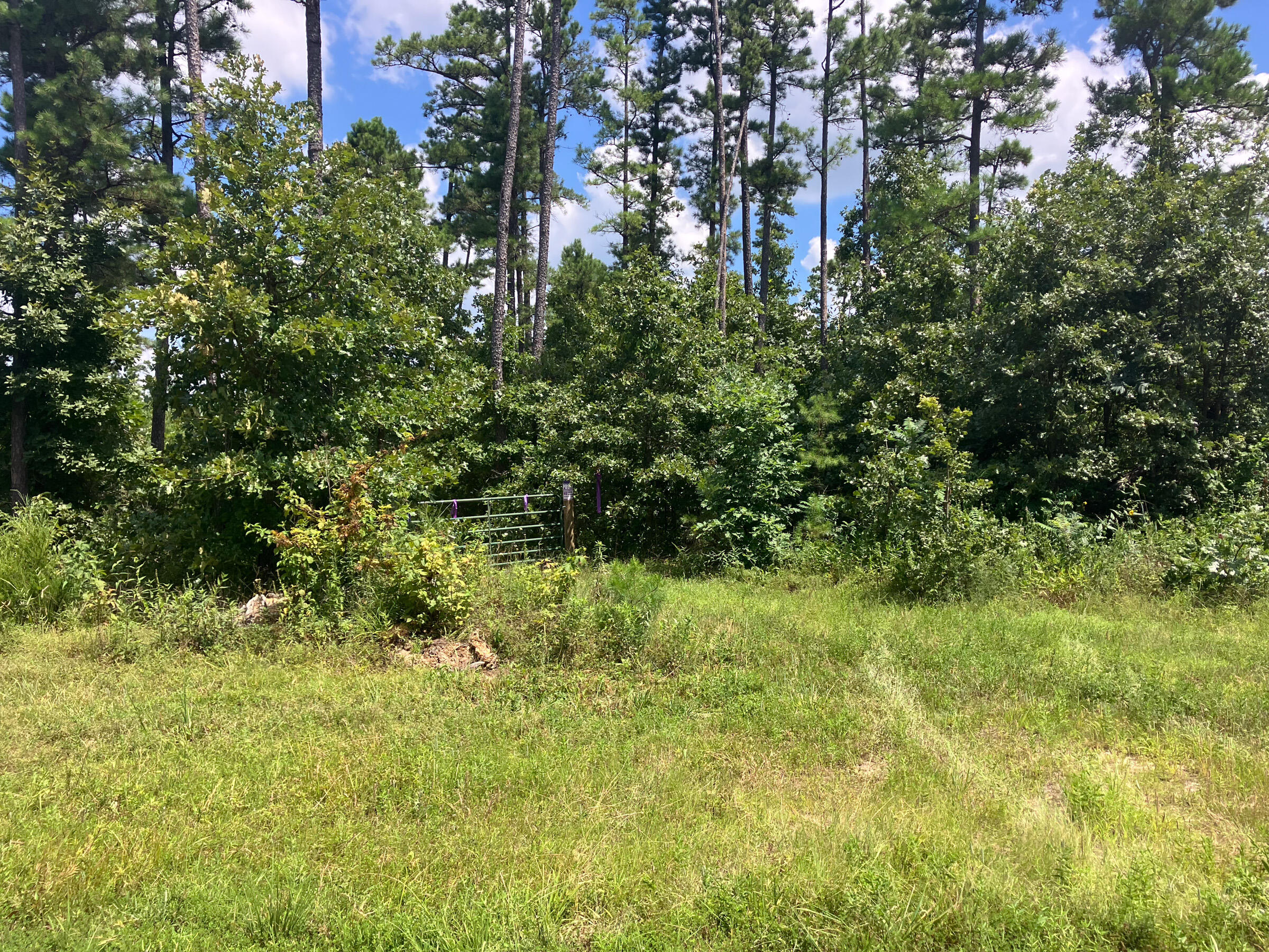 Photo 9 - Land for sale – 7187  Highway Kk   Hartshorn, MO