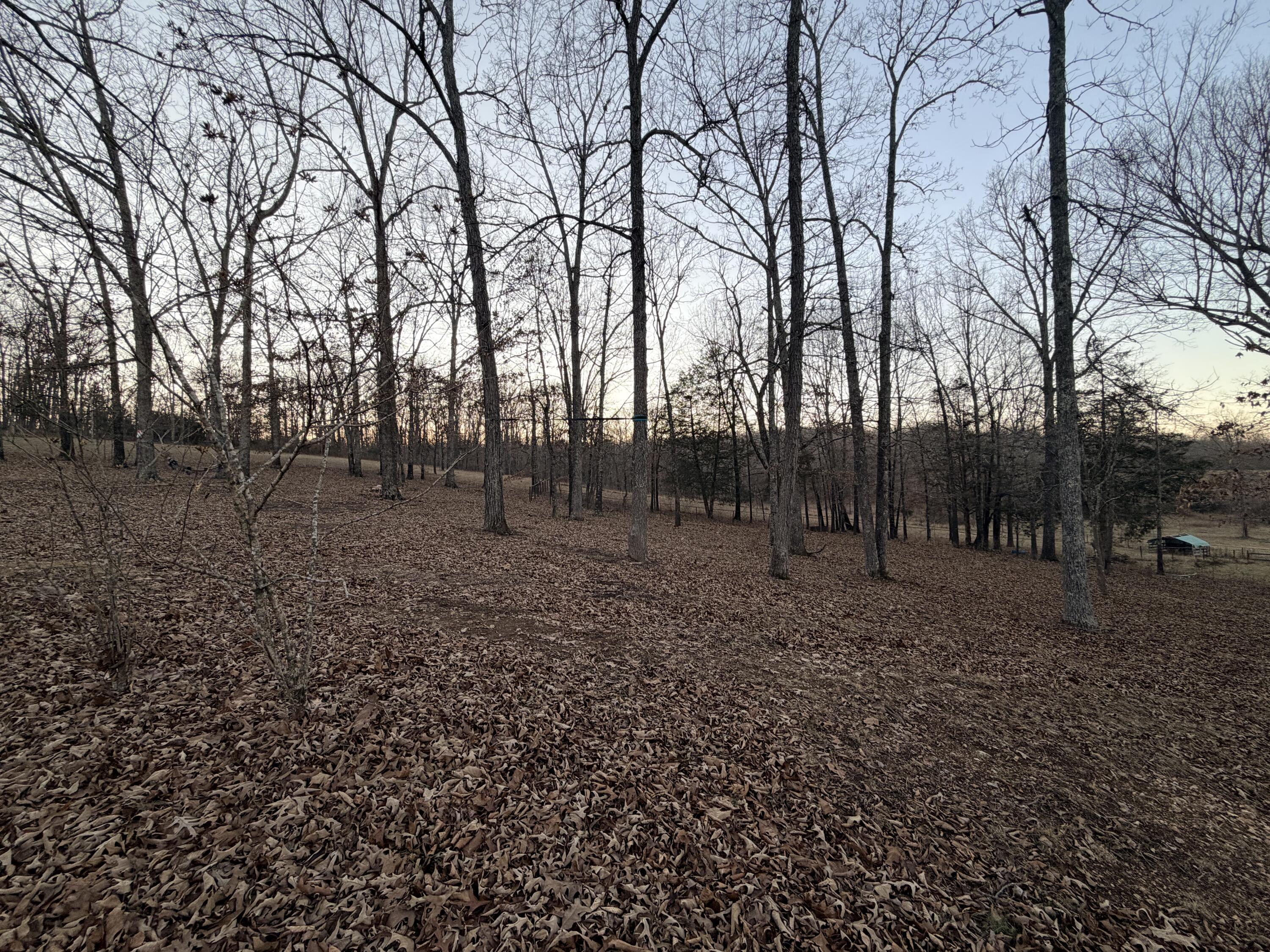 Photo 7 - Residential for sale – 153  Private Road 204-184   Alton, MO