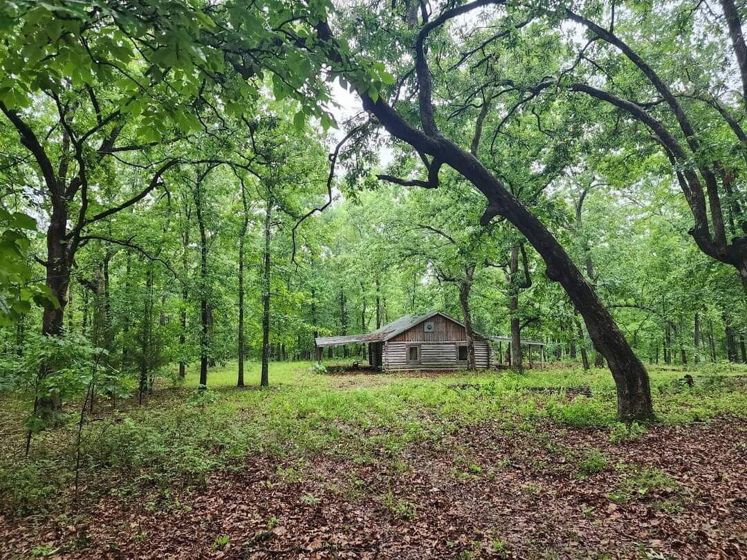 Photo 20 - Residential for sale – 153  Private Road 204-184   Alton, MO