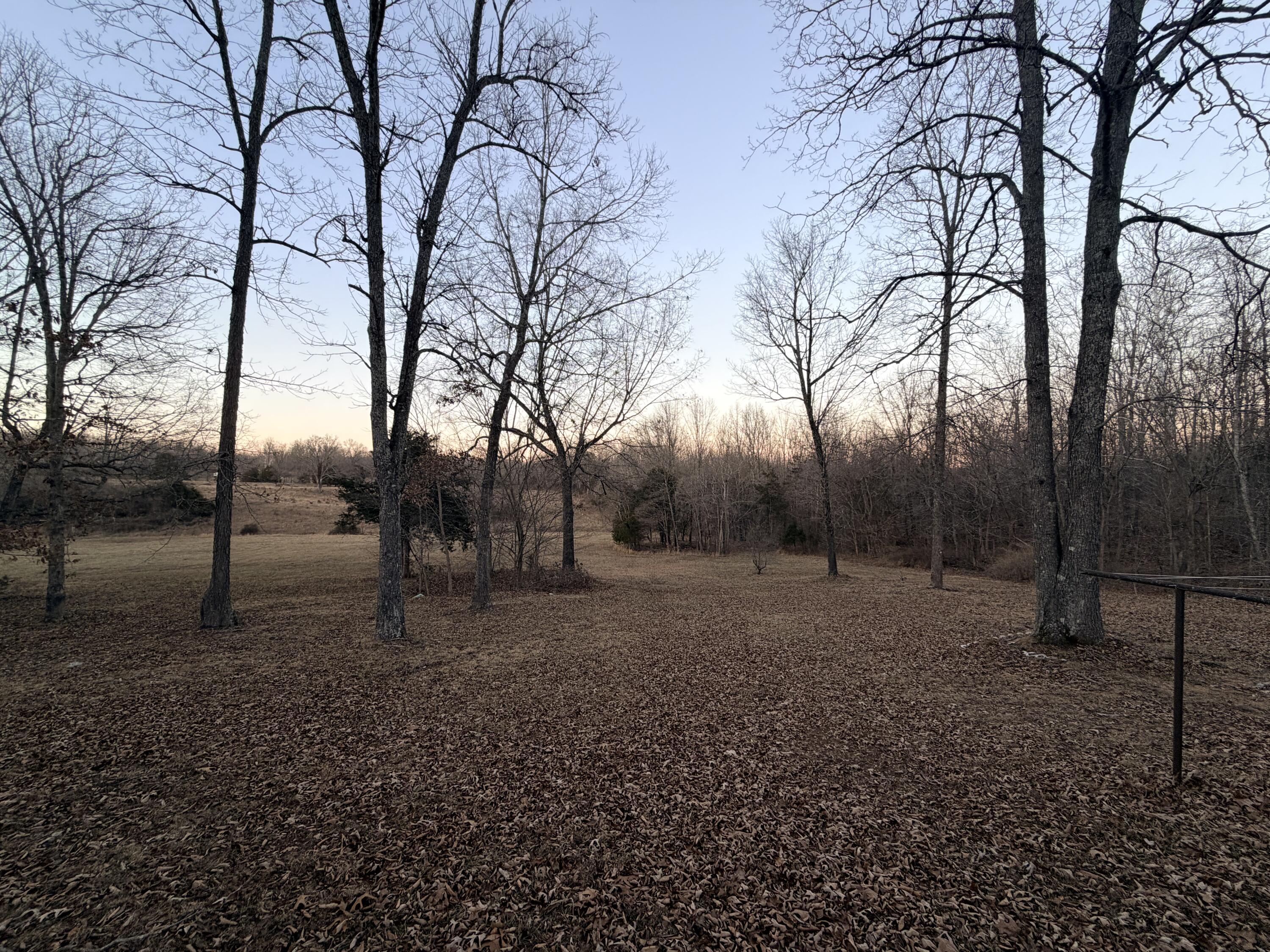 Photo 6 - Residential for sale – 153  Private Road 204-184   Alton, MO