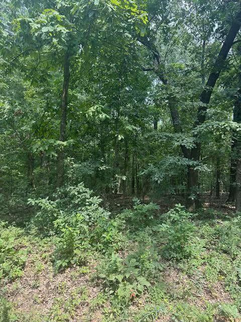 Land for sale – 000  Private Road Cc-200   Alton, MO