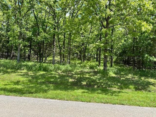 Land for sale – 323  West Green Valley Drive   Horseshoe Bend, AR