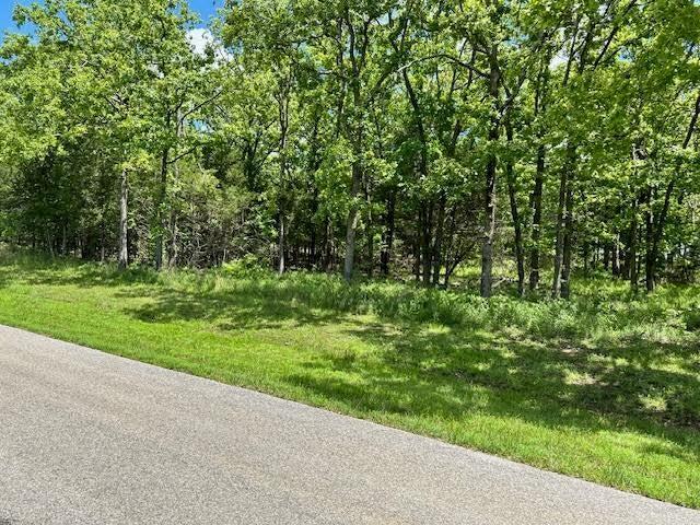 Photo 6 - Land for sale – 323  West Green Valley Drive   Horseshoe Bend, AR