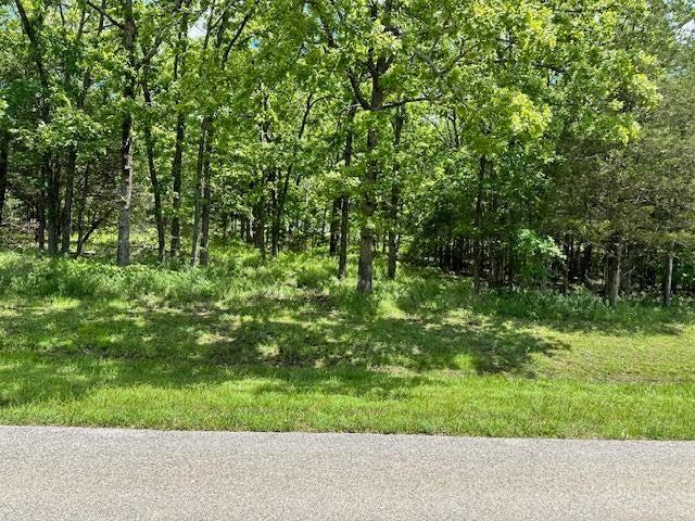 Photo 5 - Land for sale – 323  West Green Valley Drive   Horseshoe Bend, AR