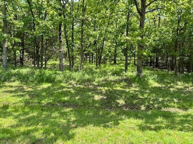 Photo 4 - Land for sale – 323  West Green Valley Drive   Horseshoe Bend, AR
