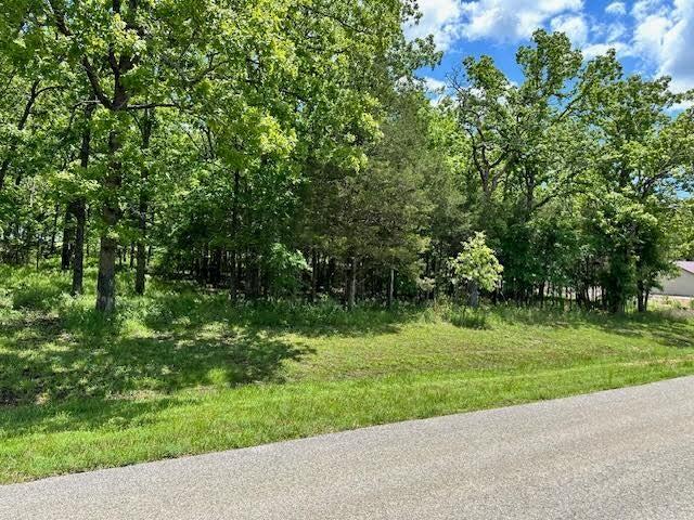 Photo 2 - Land for sale – 323  West Green Valley Drive   Horseshoe Bend, AR