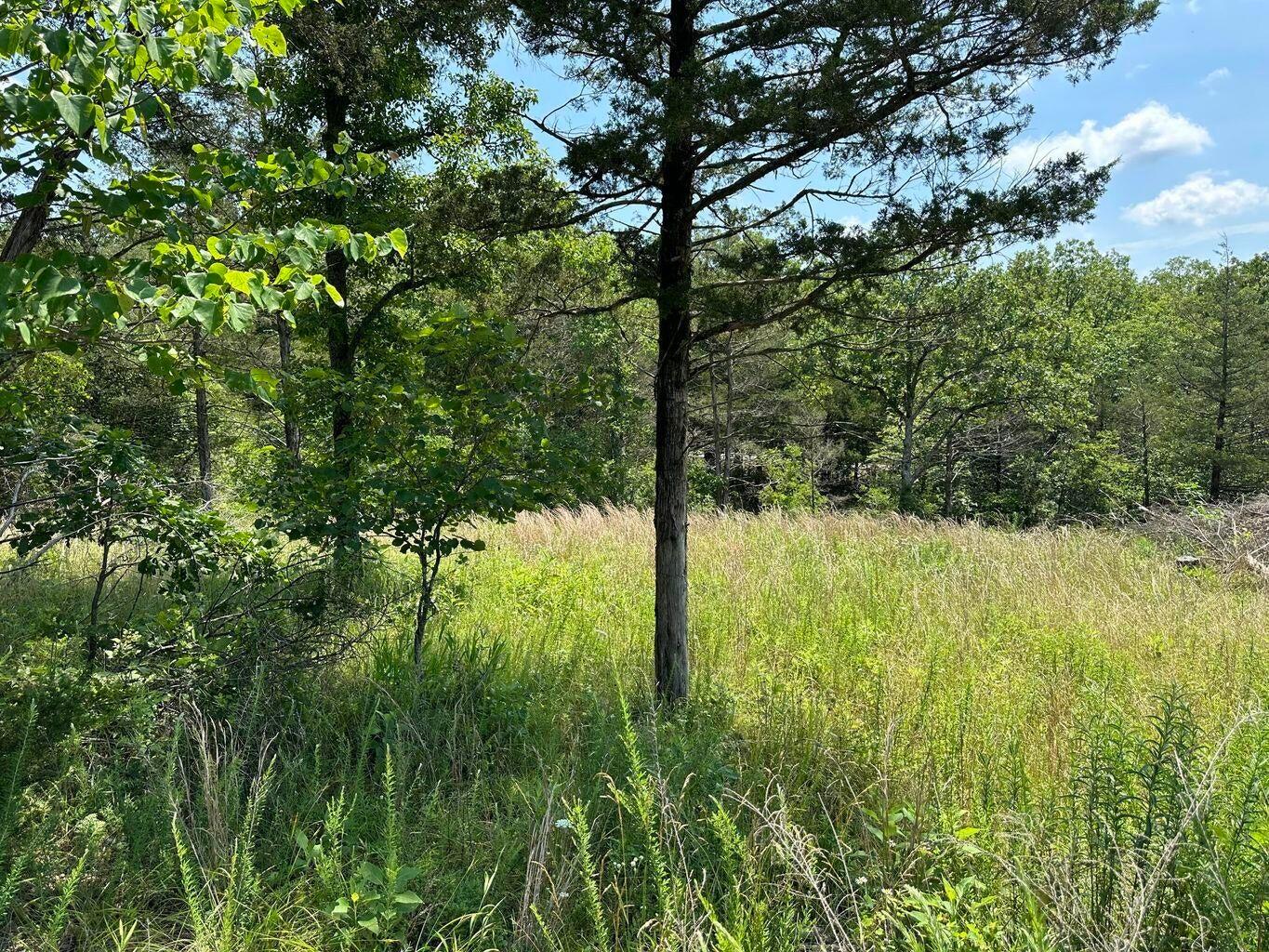 Photo 2 - Land for sale – Lot 12  Tribute Falls   Cassville, MO