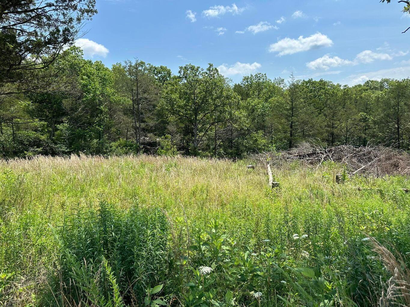 Photo 3 - Land for sale – Lot 12  Tribute Falls   Cassville, MO