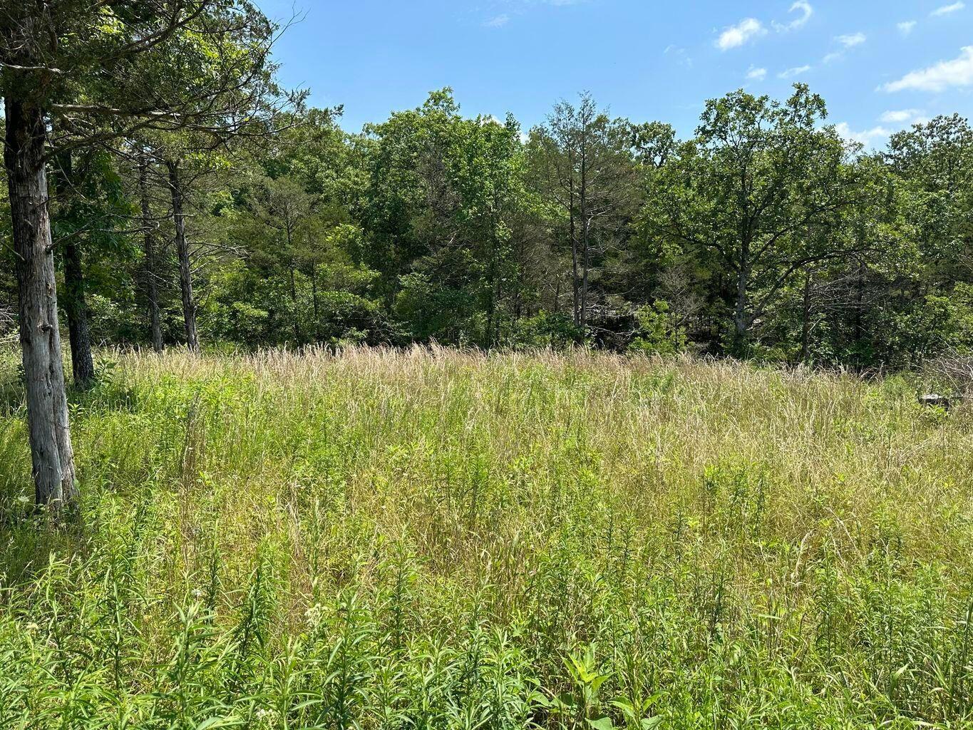 Land for sale – Lot 12  Tribute Falls   Cassville, MO