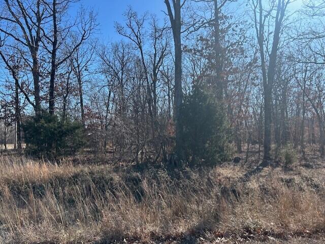 Land for sale – 18 Ac Jenny Lane Granby, MO