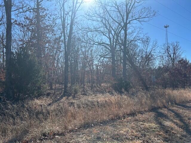 Photo 2 - Land for sale – 18 Ac  Jenny Lane   Granby, MO