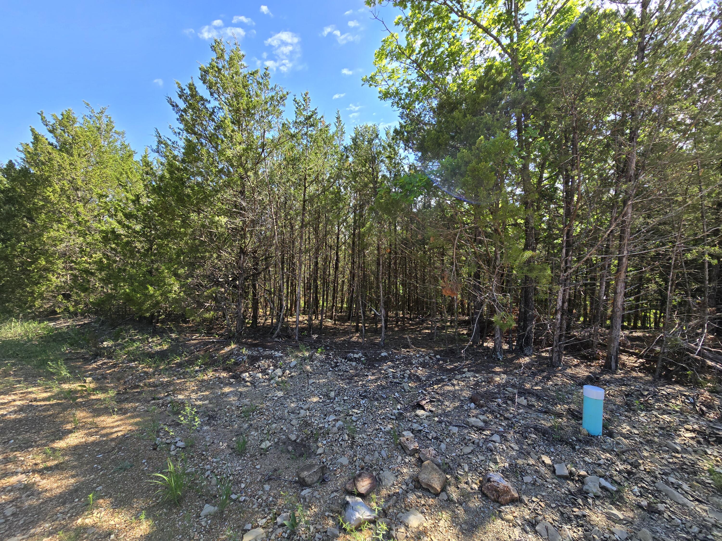 Photo 2 - Land for sale – #3  Block 12 Tall Oaks   Pittsburg, MO