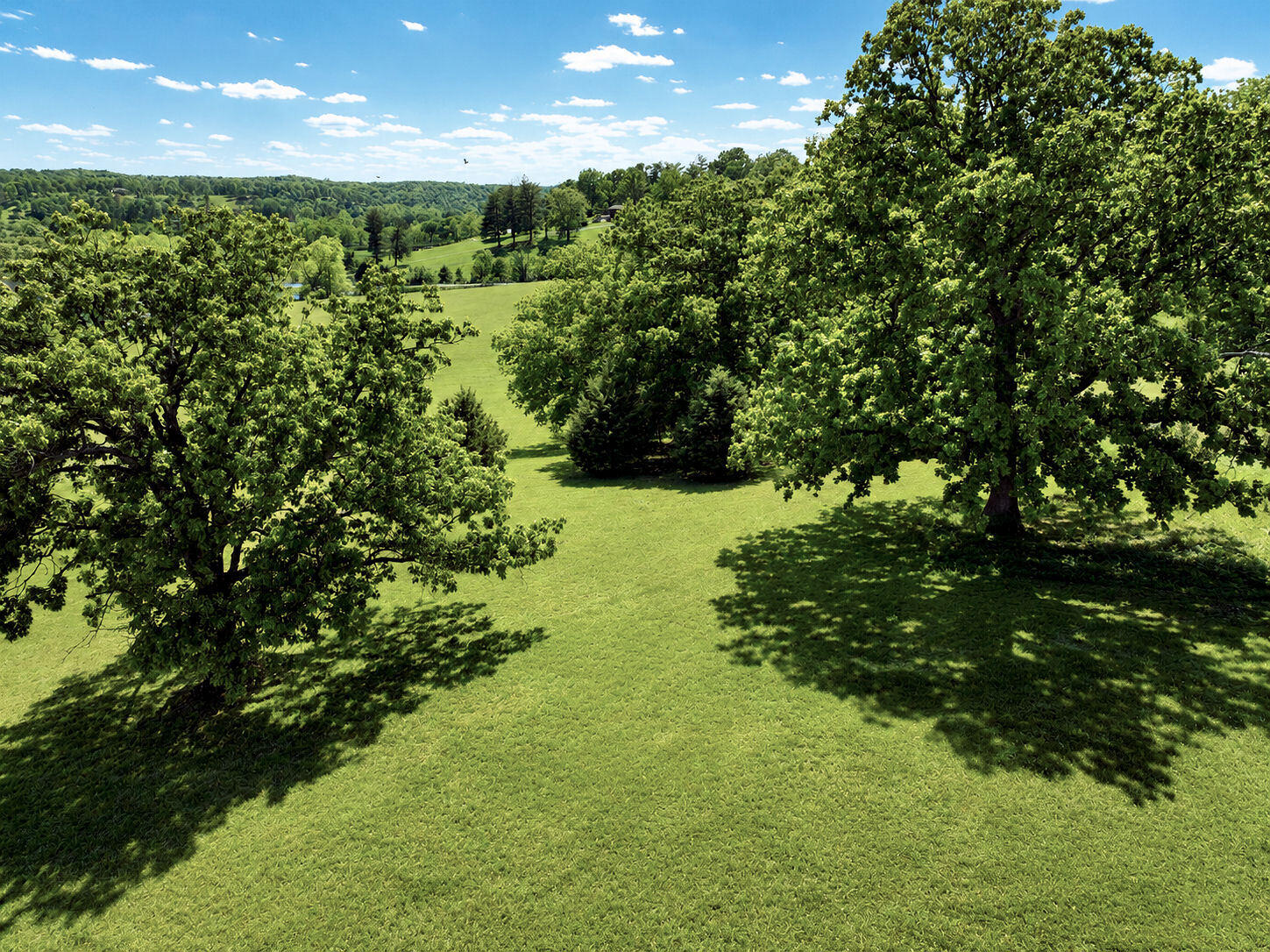 Photo 3 - Land for sale – Lot #2  Lone Star Drive  Nixa, MO