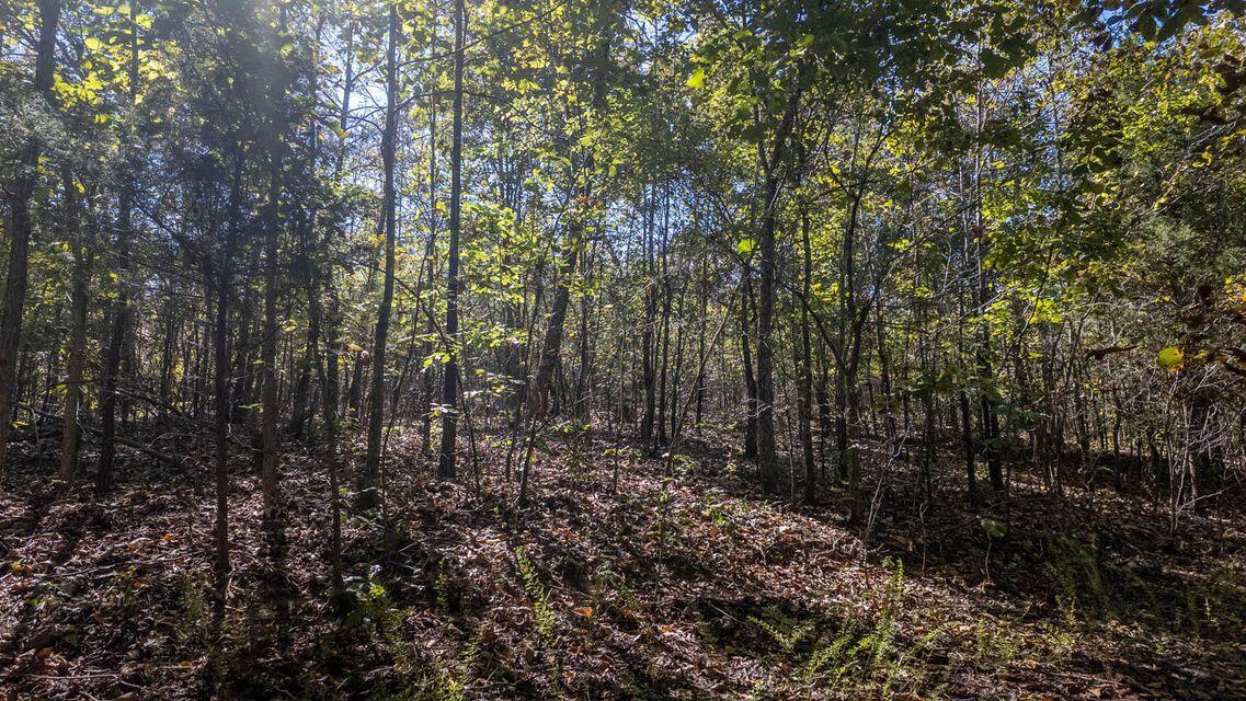 Land for sale – 000  Wetumka   Cherokee Village, AR