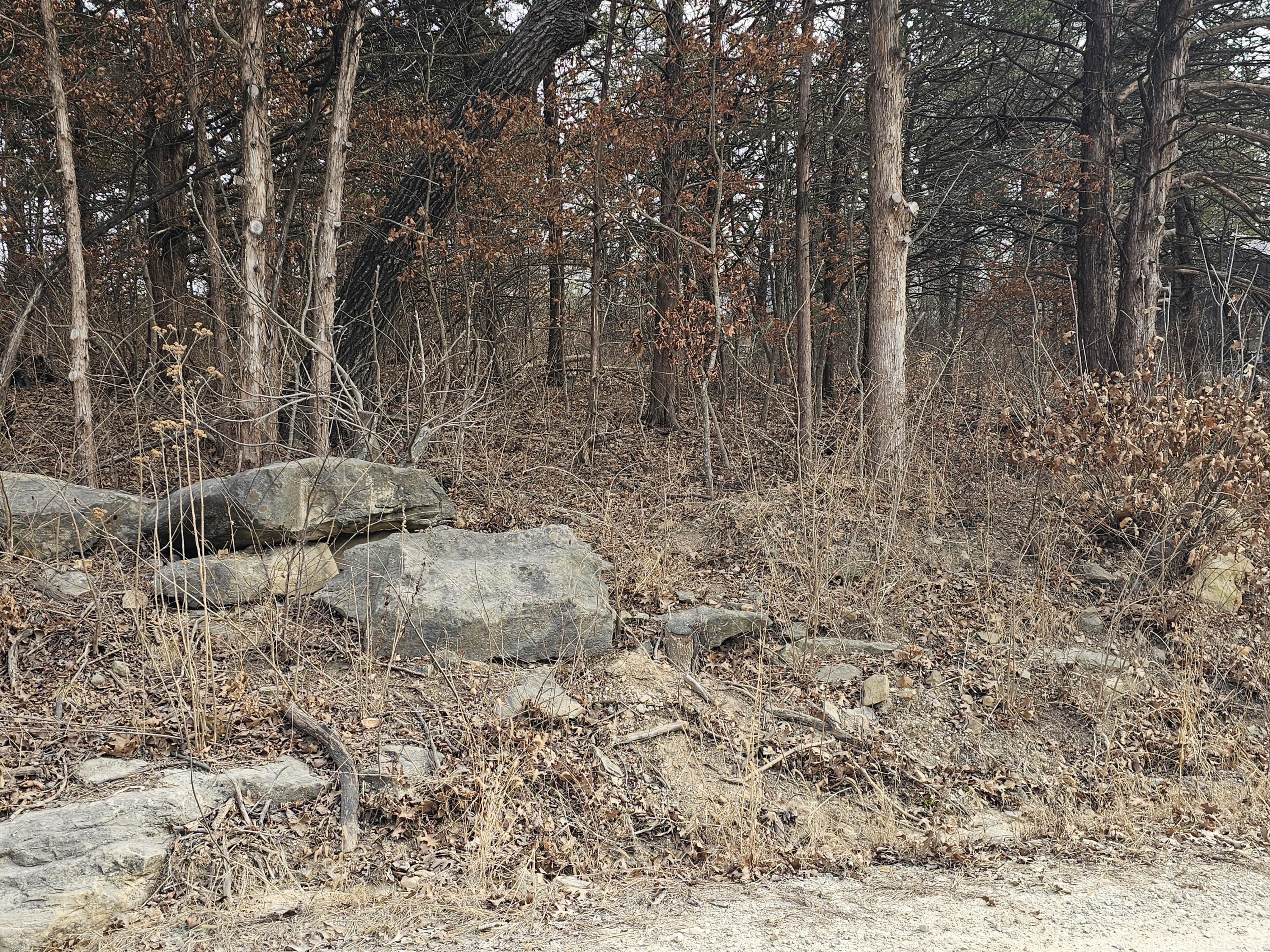 Photo 2 - Land for sale – 24643  Oak Drive  Pittsburg, MO
