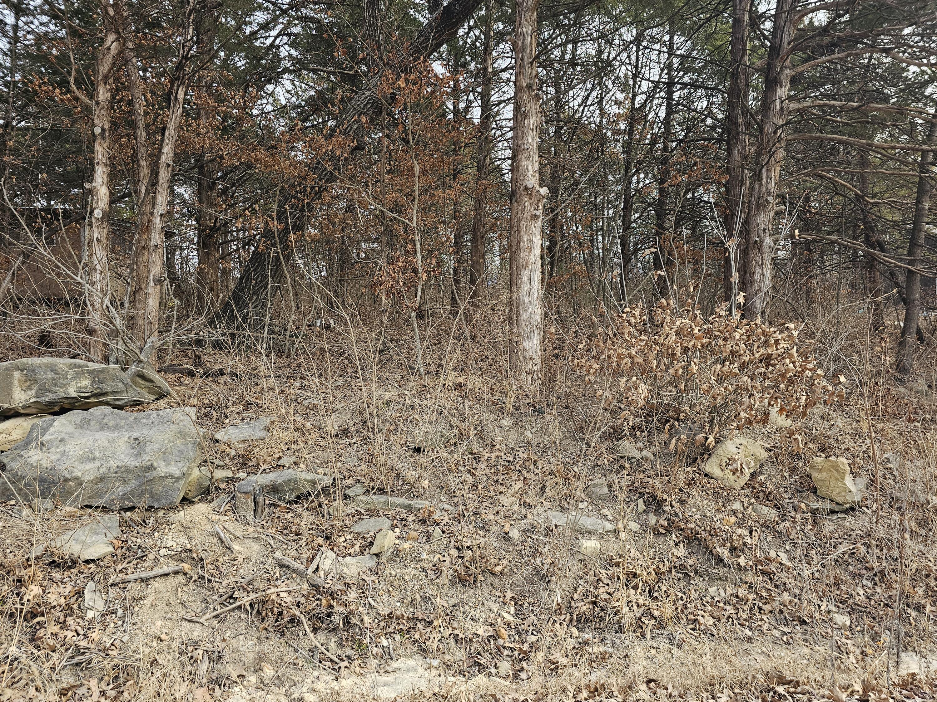 Land for sale – 24643  Oak Drive  Pittsburg, MO