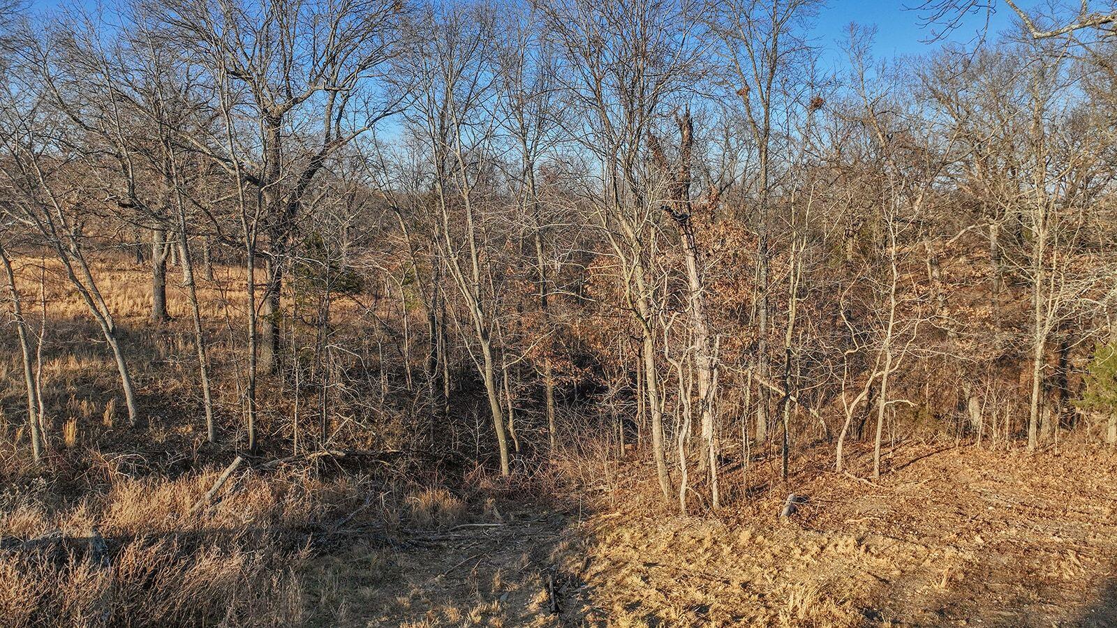Photo 8 - Land for sale – 15.14 Acrs  Cherry Bark Lane  Noel, MO