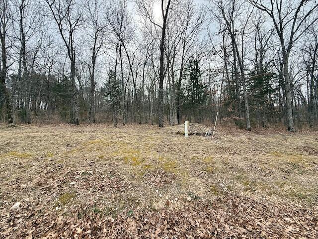 Photo 3 - Land for sale – Lot 82  Green Cypress Lane   Shell Knob, MO