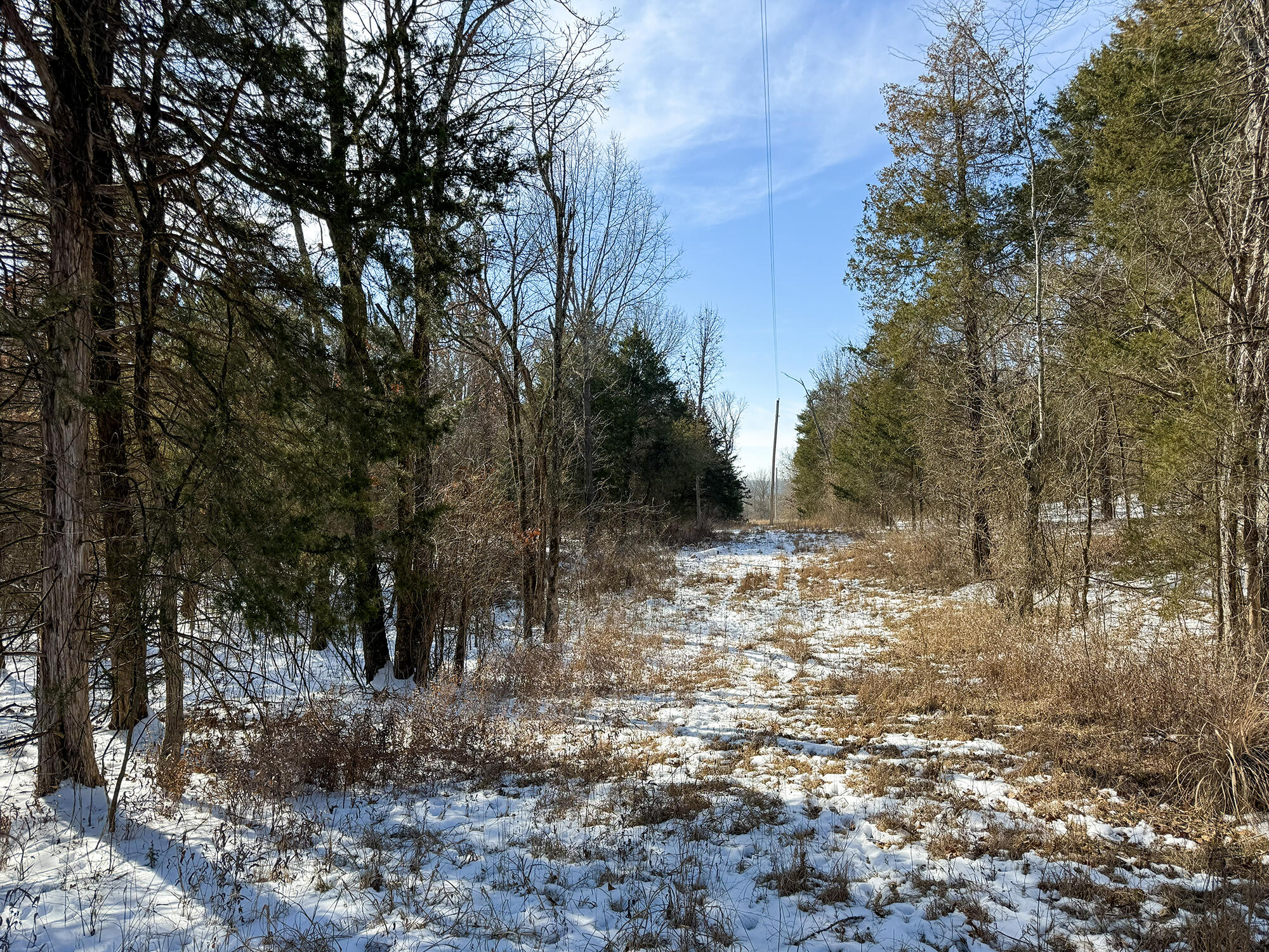 Photo 3 - Land for sale – 000 E 562nd Road  Brighton, MO