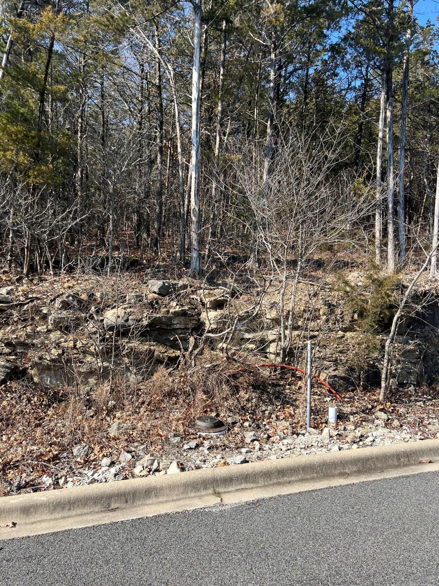 Photo 10 - Land for sale – Tbd E Sharay Circle  Hollister, MO